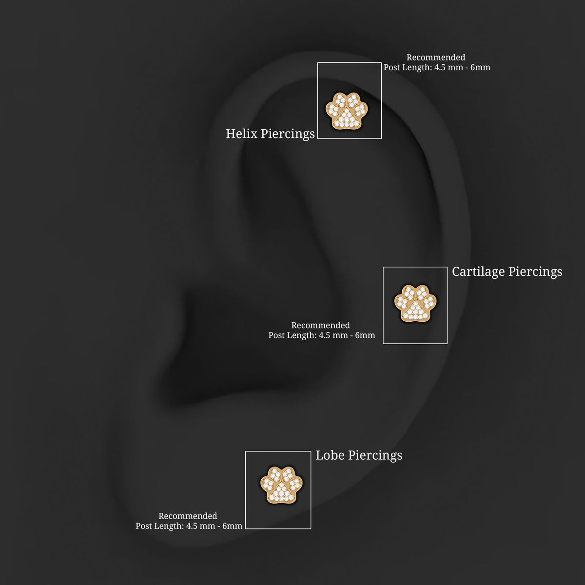 Certified Diamond Paw Cartilage Earring Lab - ( EF-VS ) - Rosec Jewels