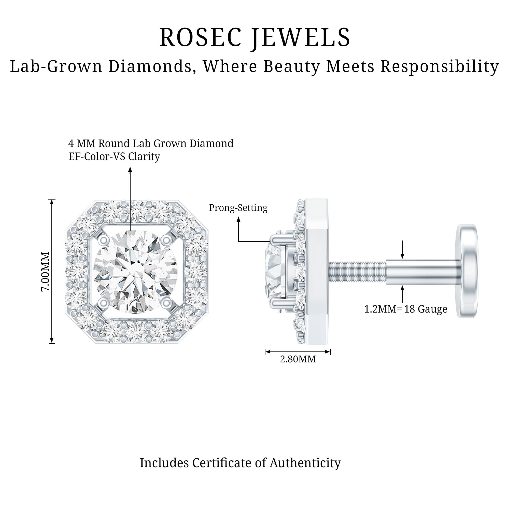 Simple Octagon Shape Diamond Helix Earring Lab - ( EF-VS ) - Rosec Jewels