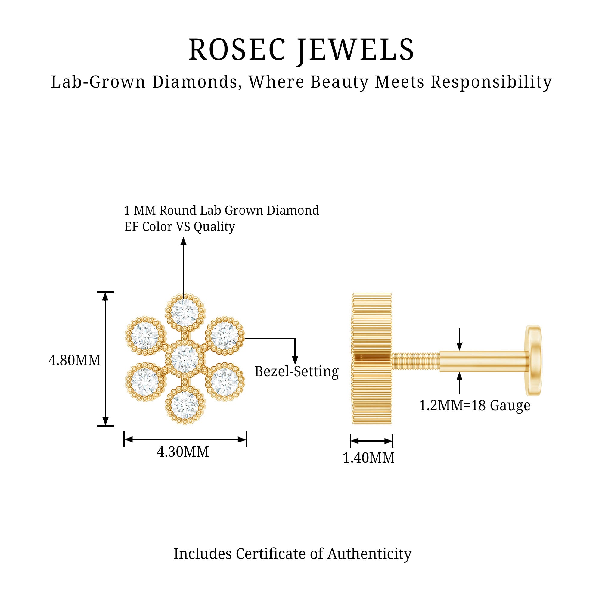Round Diamond Flower Earring in Beaded Bezel Setting Lab - ( EF-VS ) - Rosec Jewels