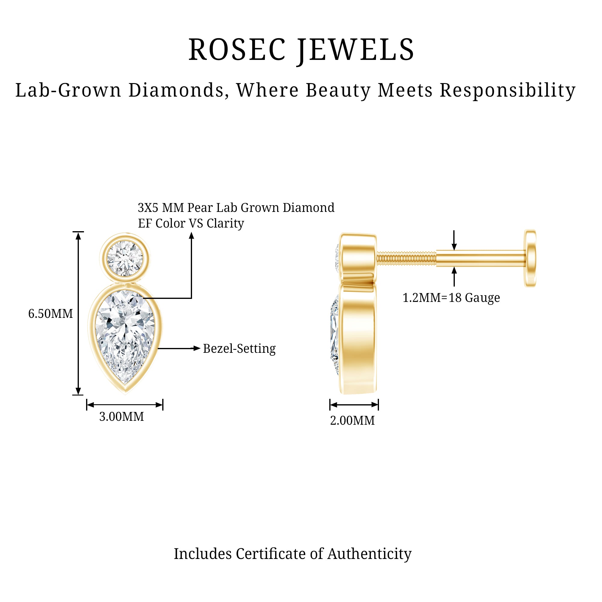 Pear Shape Diamond Two Stone Helix Earring Lab - ( EF-VS ) - Rosec Jewels