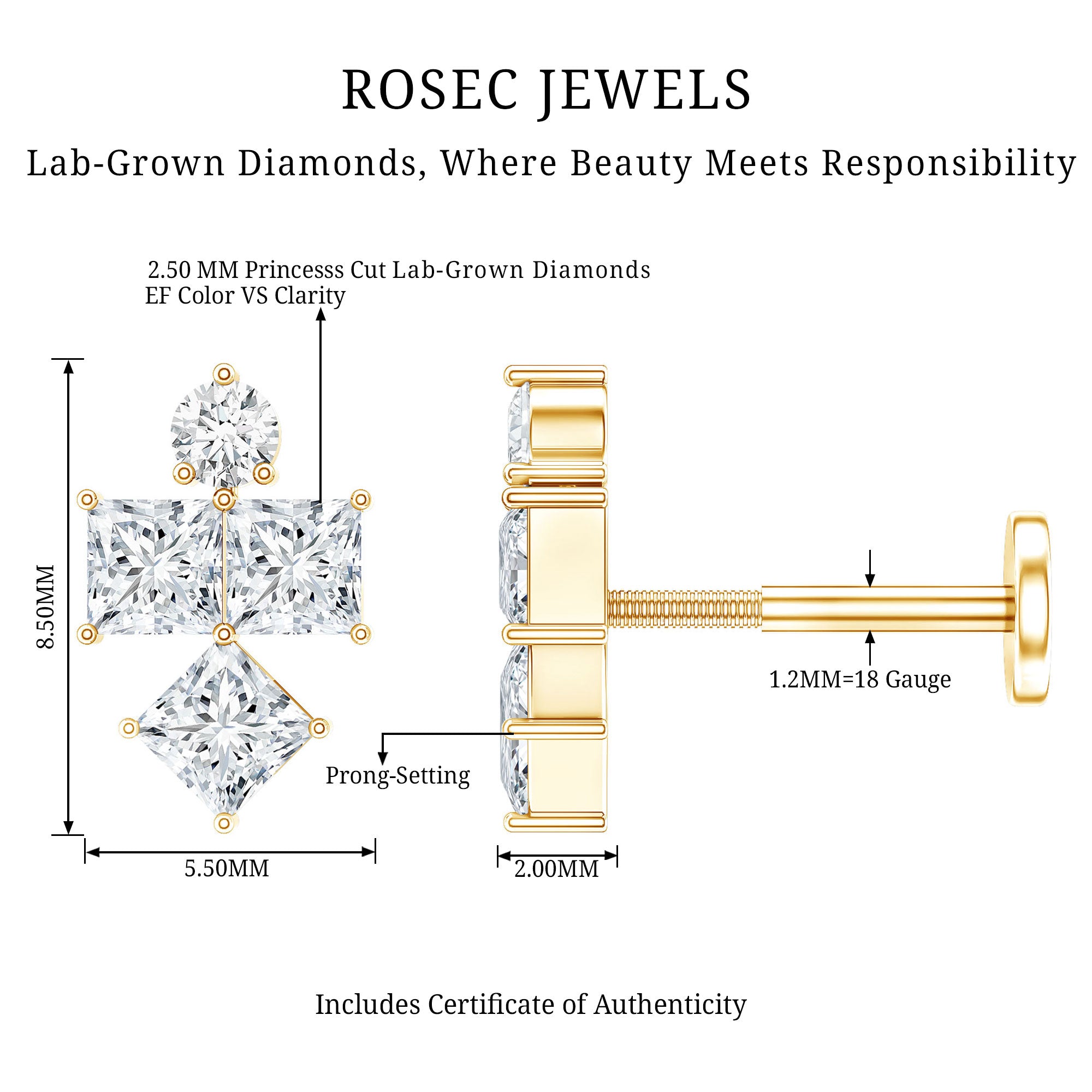 Princess Cut Diamond Helix Piercing Earring for Women Lab - ( EF-VS ) - Rosec Jewels