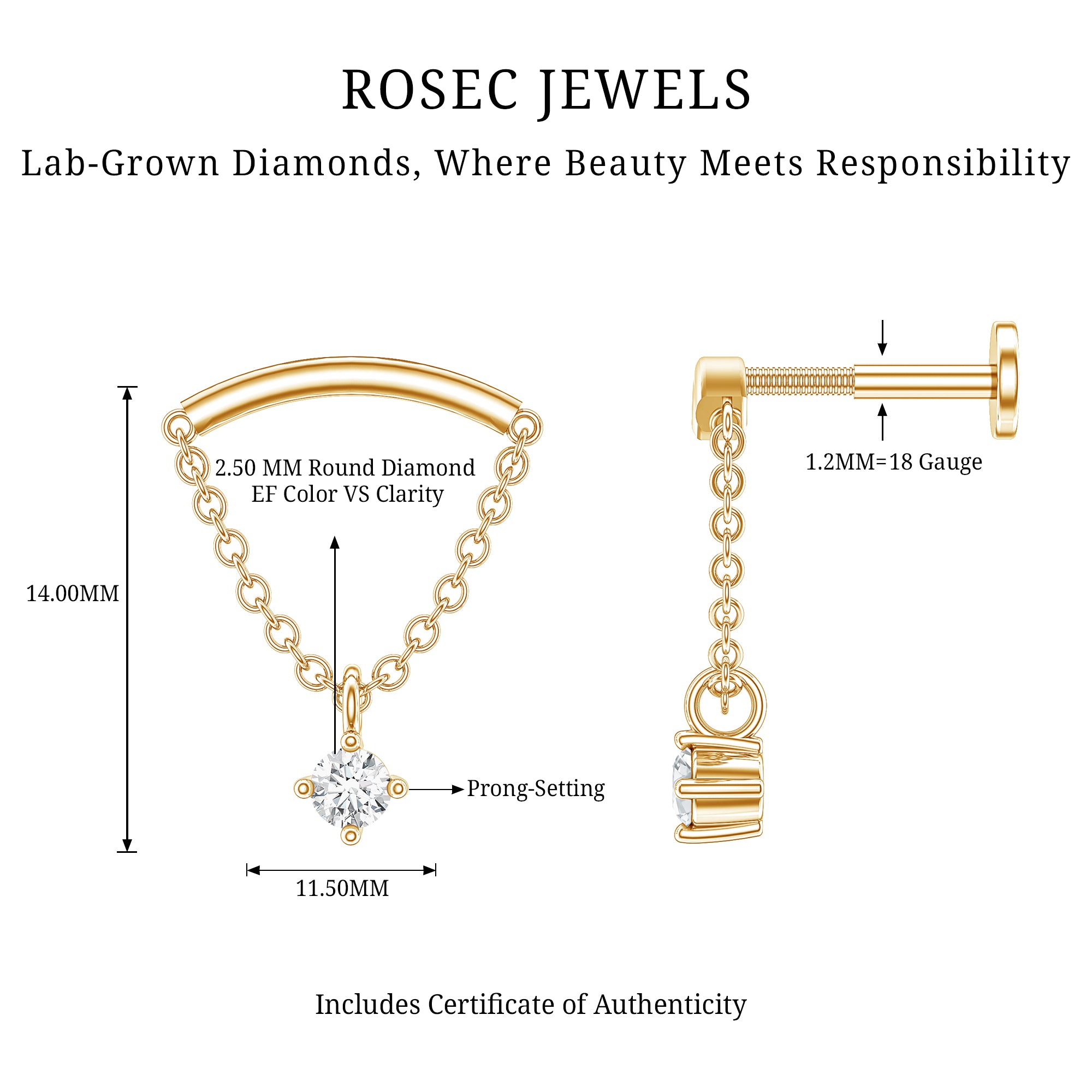 Single Diamond Hidden Helix Earring with Chain Lab - ( EF-VS ) - Rosec Jewels