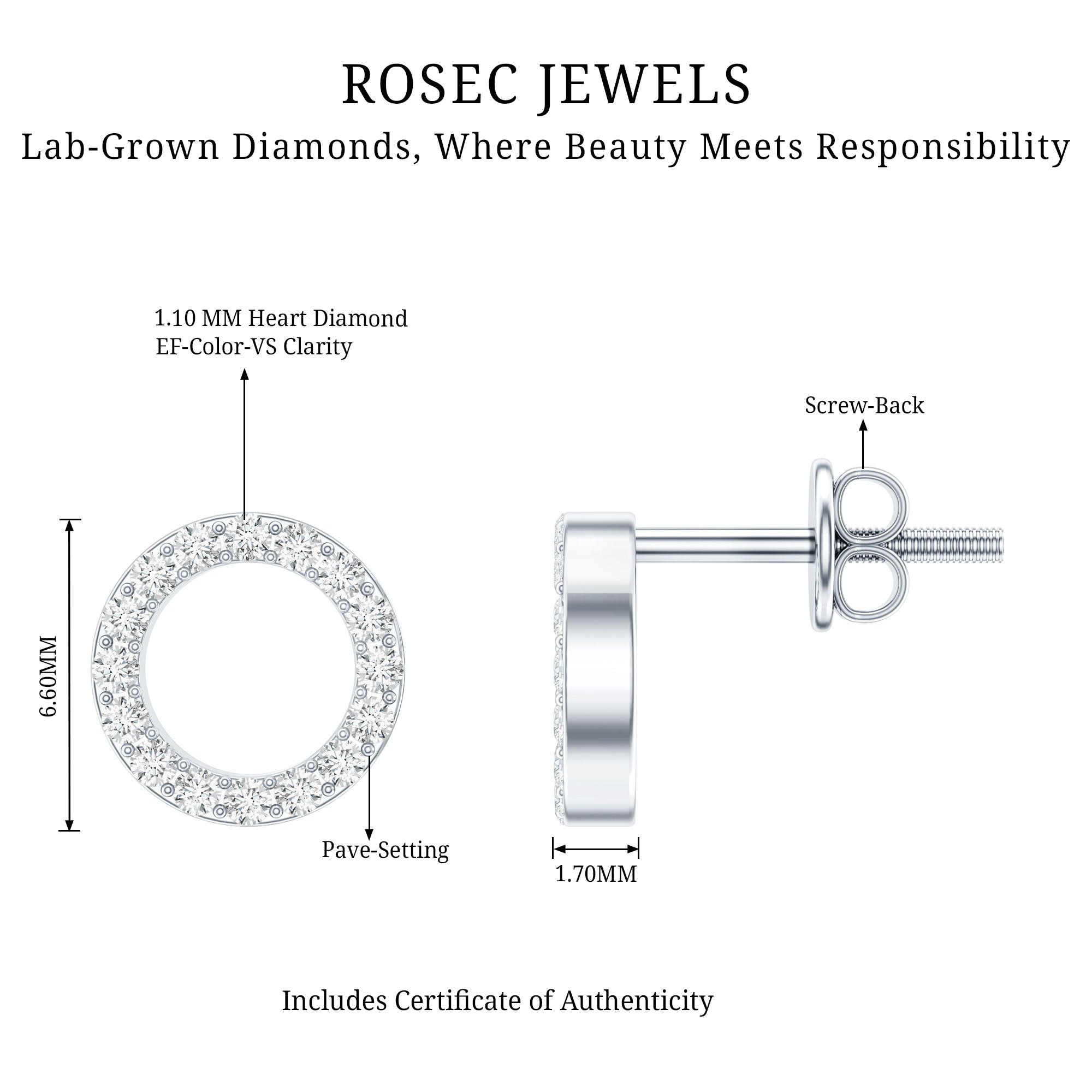 Lab Grown Diamond Circle Stud Earrings With Screw Back Lab - ( EF-VS ) - Rosec Jewels