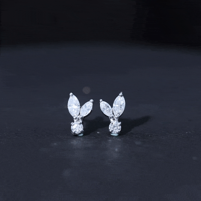 Certified Lab Grown Diamond Everyday Earrings With Screw Back Lab - ( EF-VS ) - Rosec Jewels