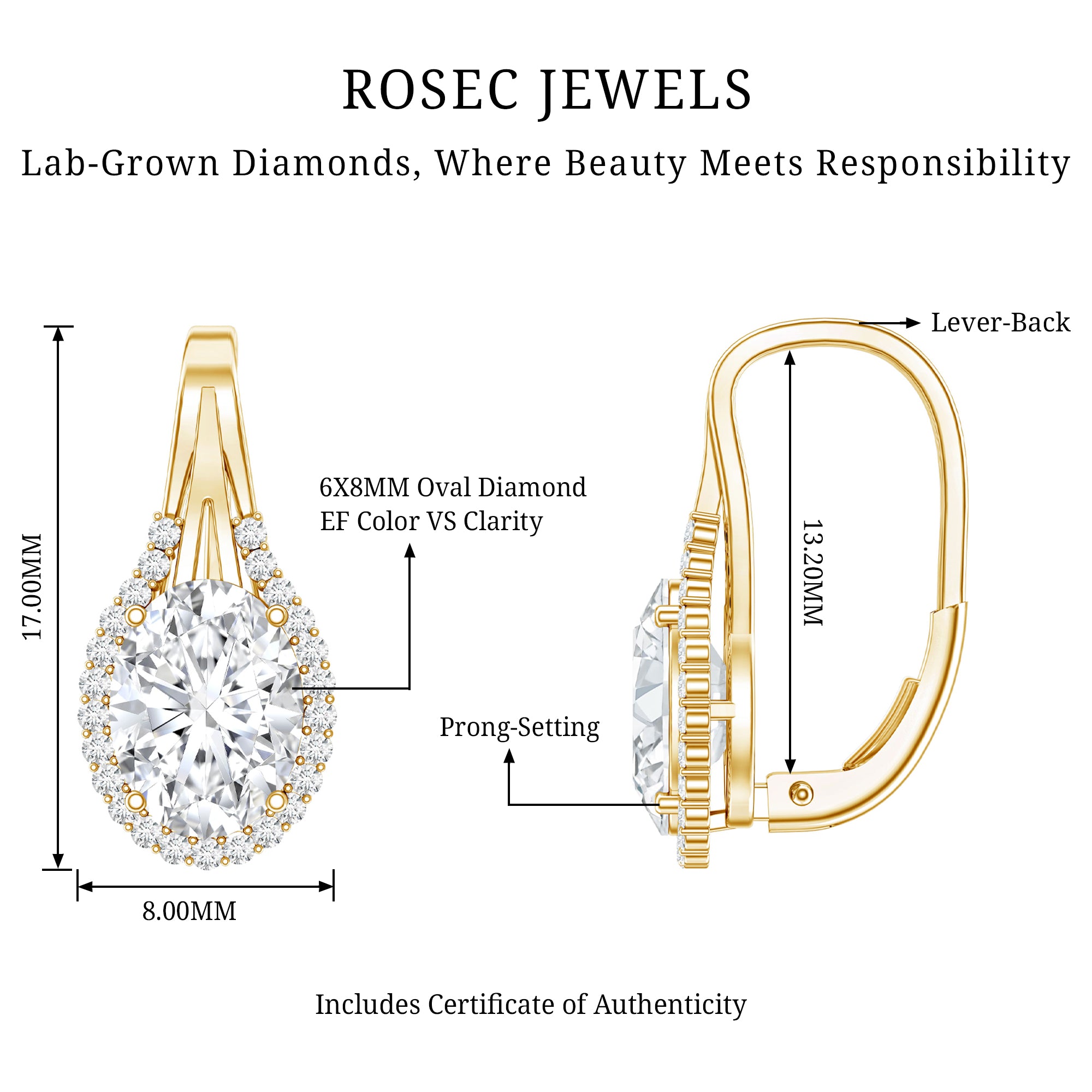 Certified 2 Carat Lab Grown Diamond Halo Designer Earrings Lab - ( EF-VS ) - Rosec Jewels