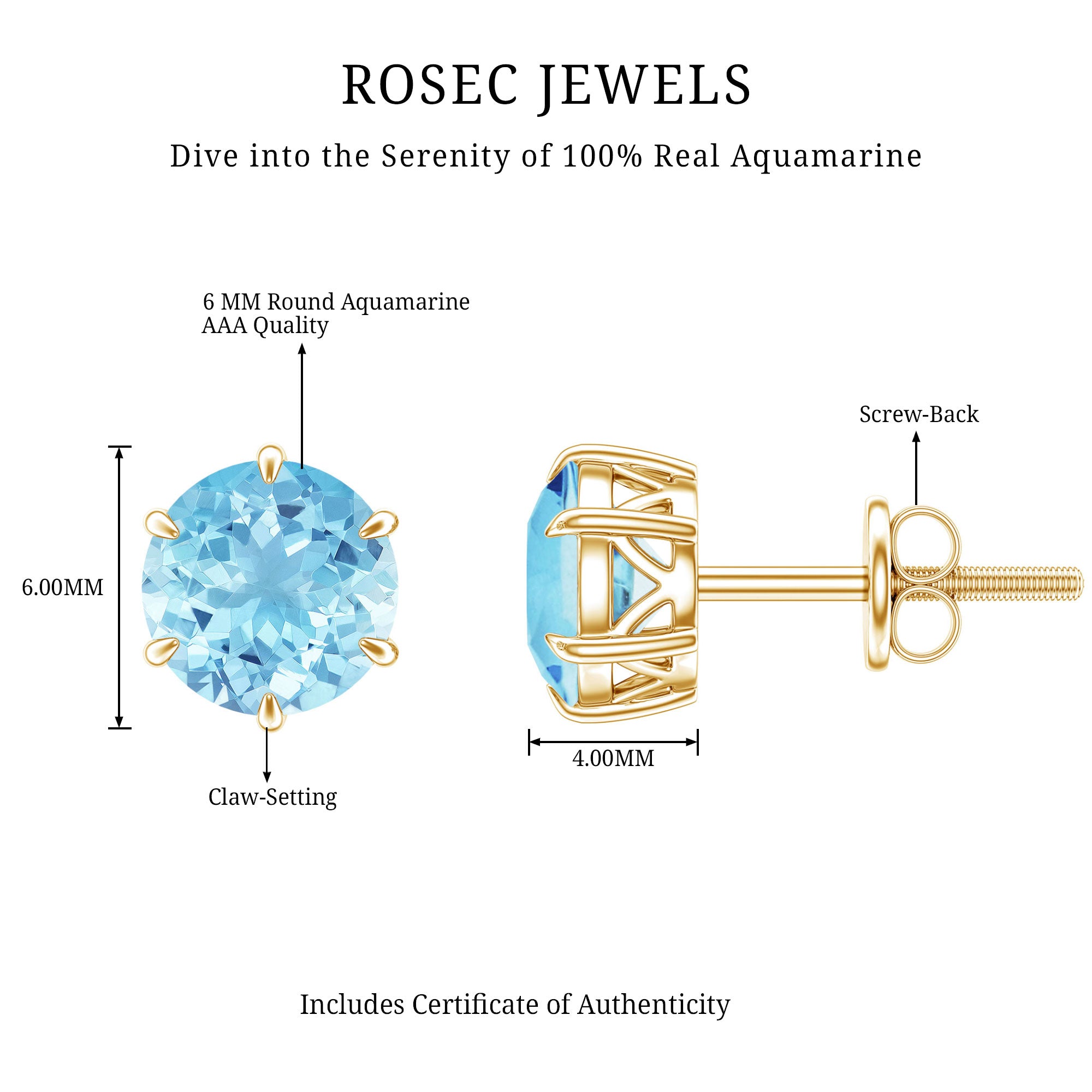1.5 Carat Round Aquamarine Solitaire Stud Earrings AAA - Rosec Jewels