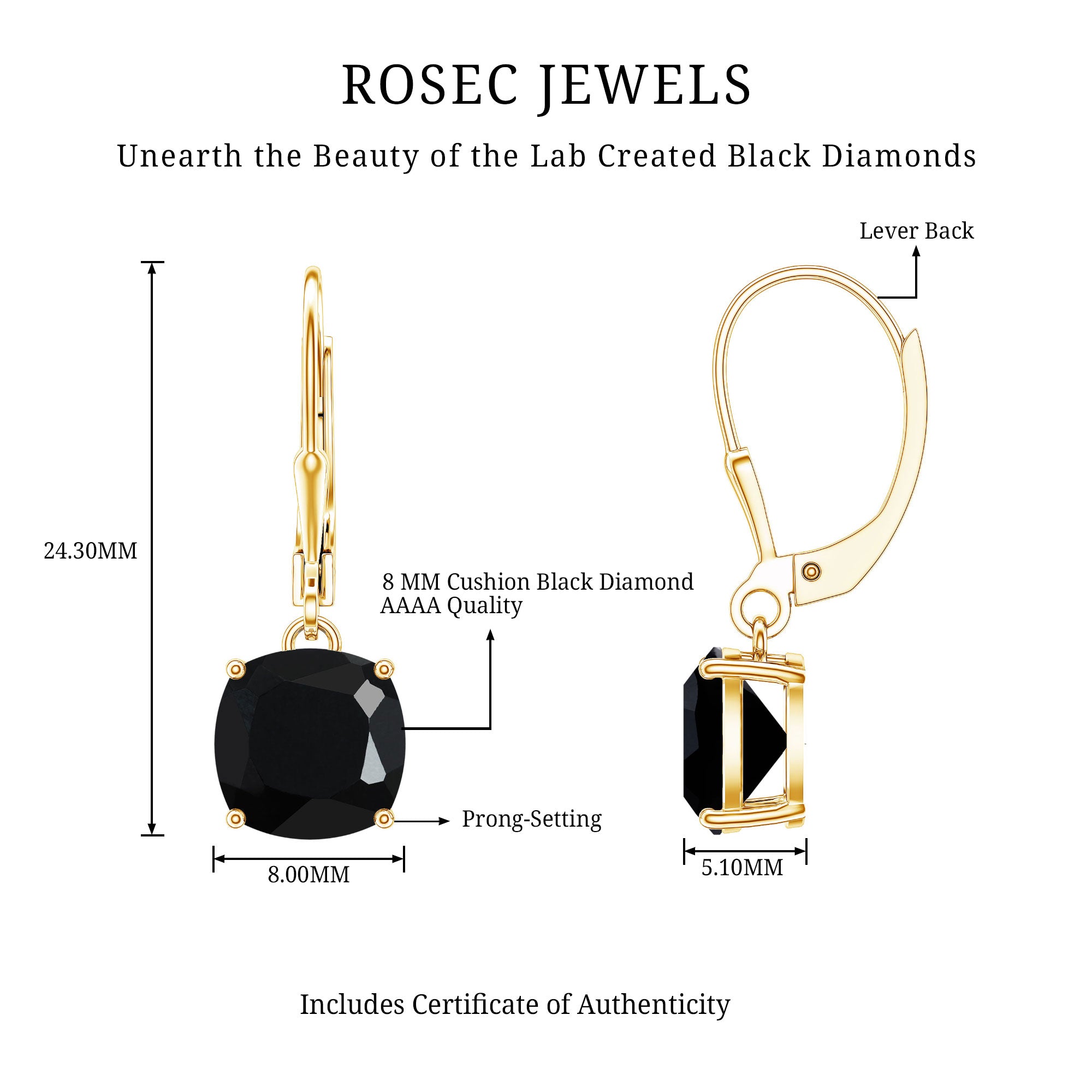 Lab Created Black Diamond Drop Earrings with Lever Back AAAA ( Synthetic ) - Rosec Jewels