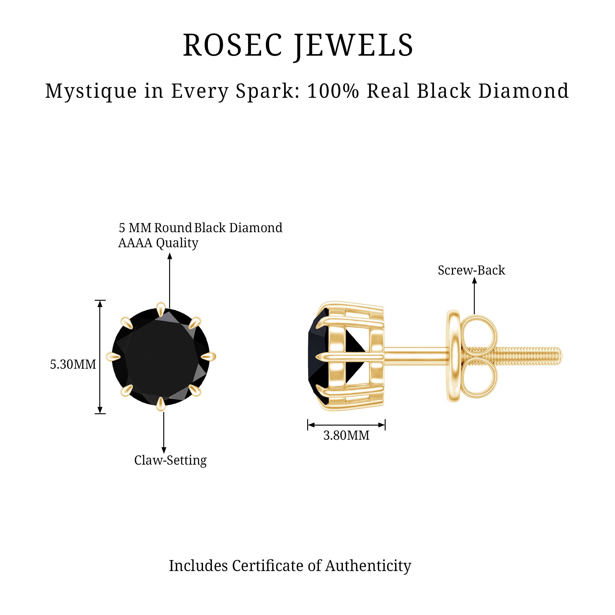 Solitaire 1.6 Carat Lab Created Black Diamond Stud Earrings AAAA ( Synthetic ) - Rosec Jewels