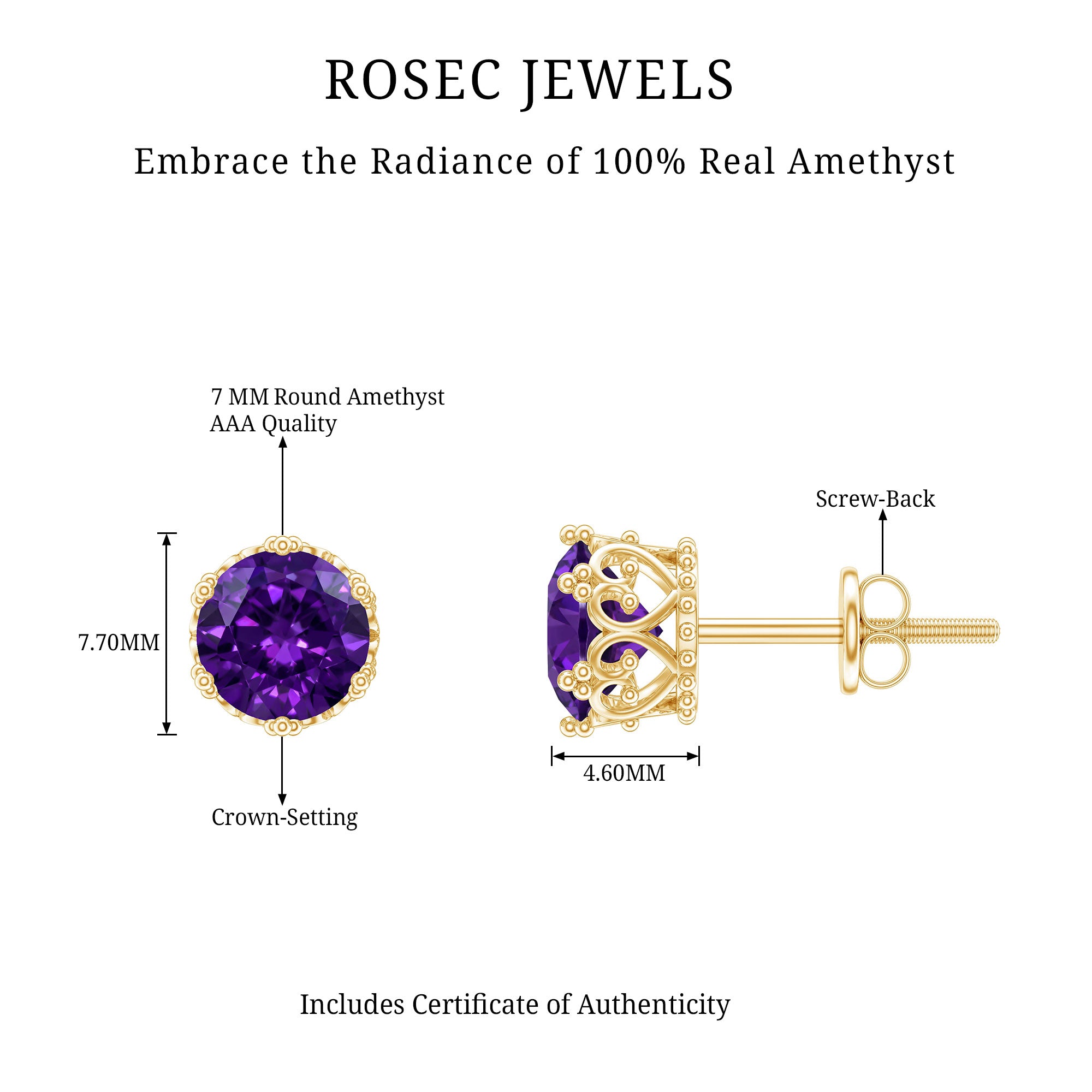 Genuine Amethyst Stud Earrings with Certificate AAA - Rosec Jewels
