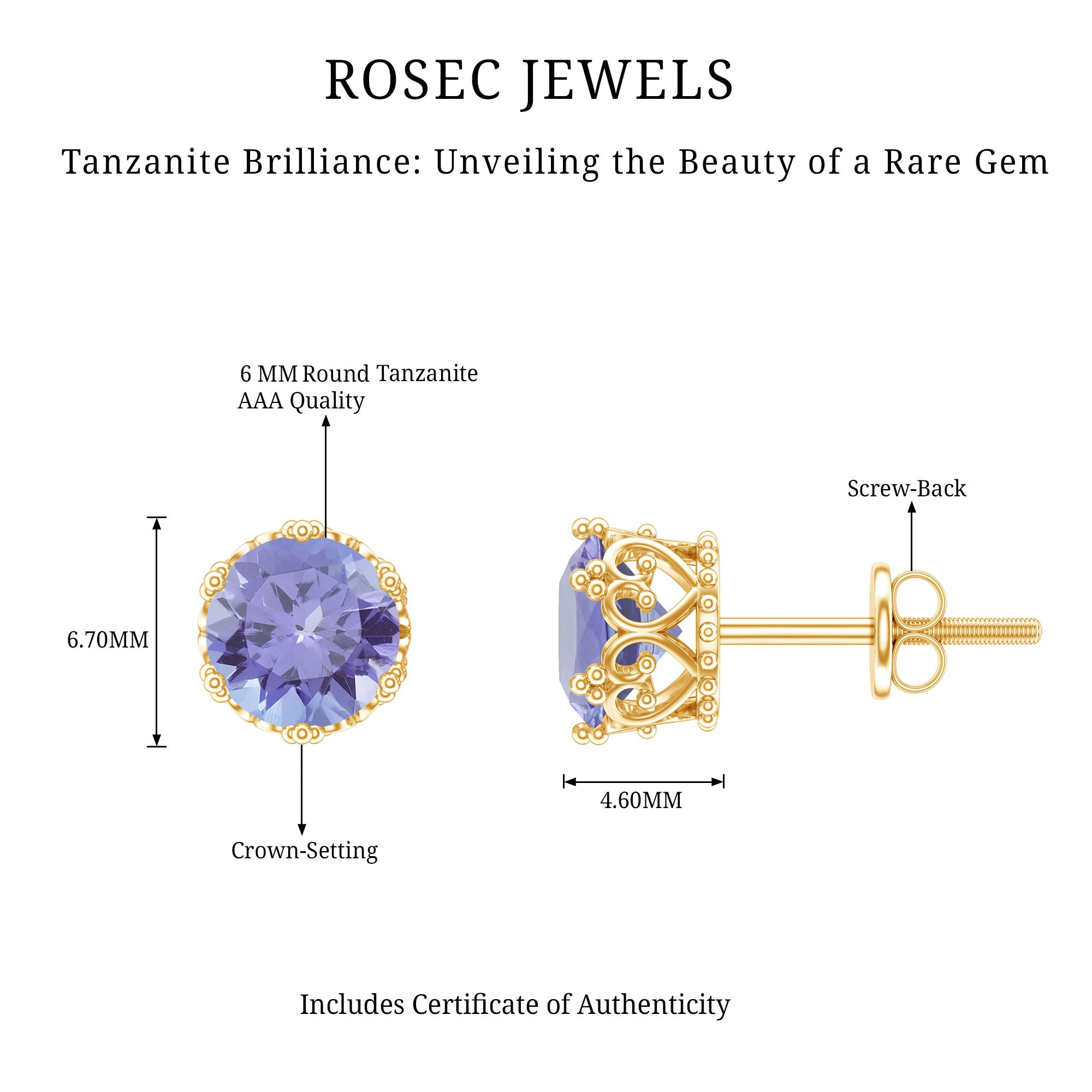 Natural 1 Carat Tanzanite Crown Stud Earrings with Screw Back AAA - Rosec Jewels