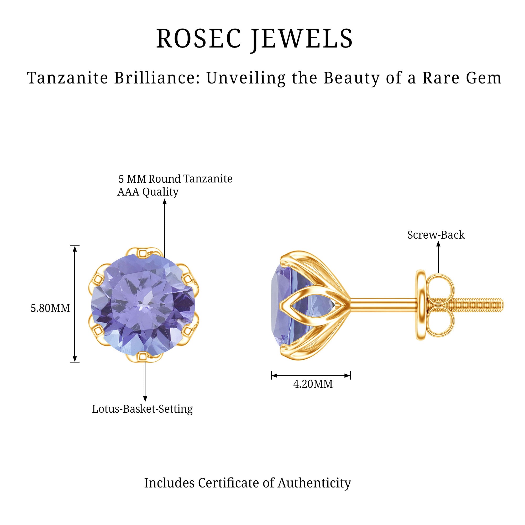 1 Carat Round Cut Tanzanite Solitaire Stud Earrings for Women AAA - Rosec Jewels