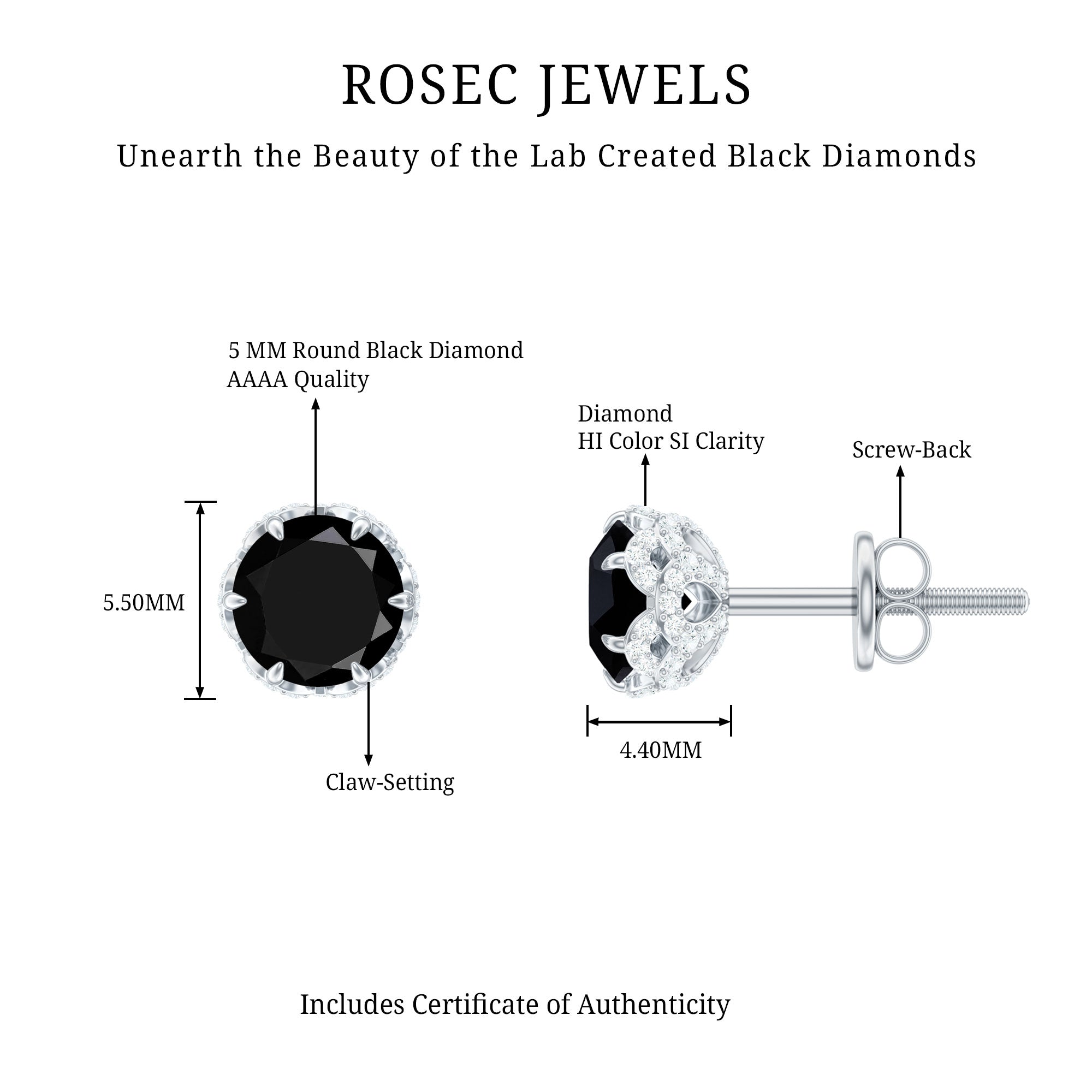 Lab Created Black Diamond Stud Earrings with White Diamonds AAAA ( Synthetic ) - Rosec Jewels