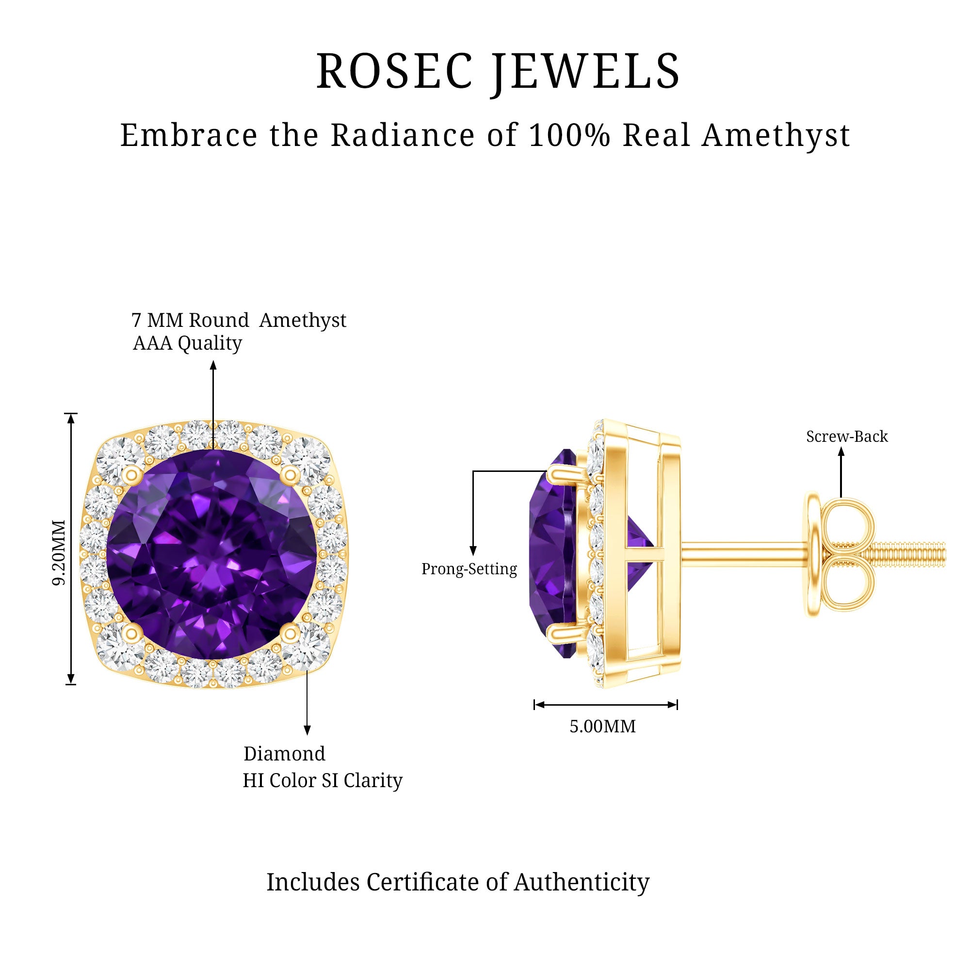 Classic Round Amethyst Halo Stud Earrings with Diamond AAA - Rosec Jewels