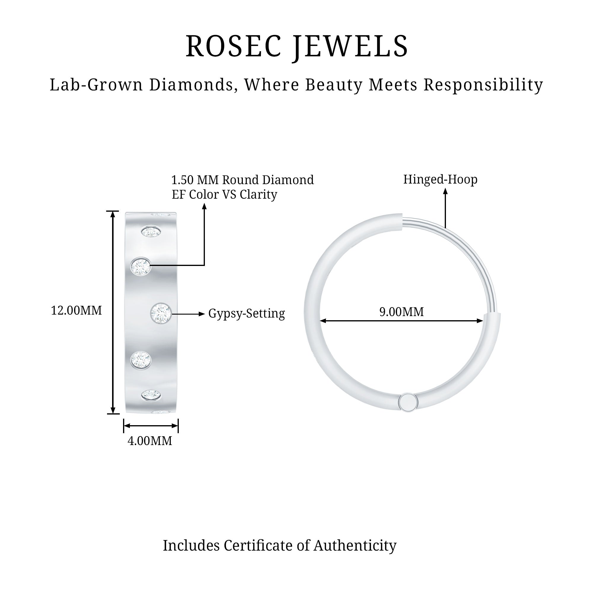 Flush Set Diamond Hoop Earrings For Women Lab - ( EF-VS ) - Rosec Jewels