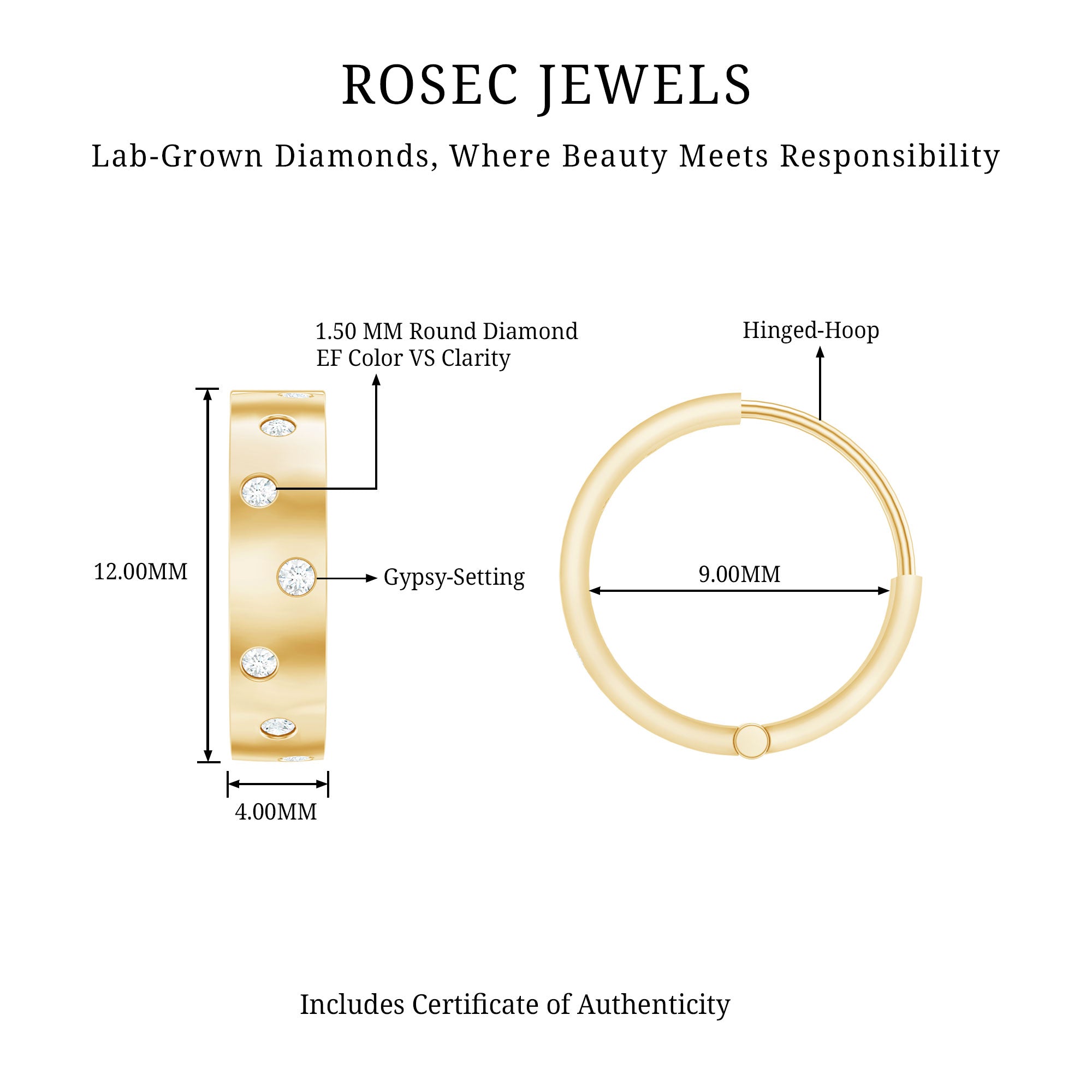 Flush Set Diamond Hoop Earrings For Women Lab - ( EF-VS ) - Rosec Jewels