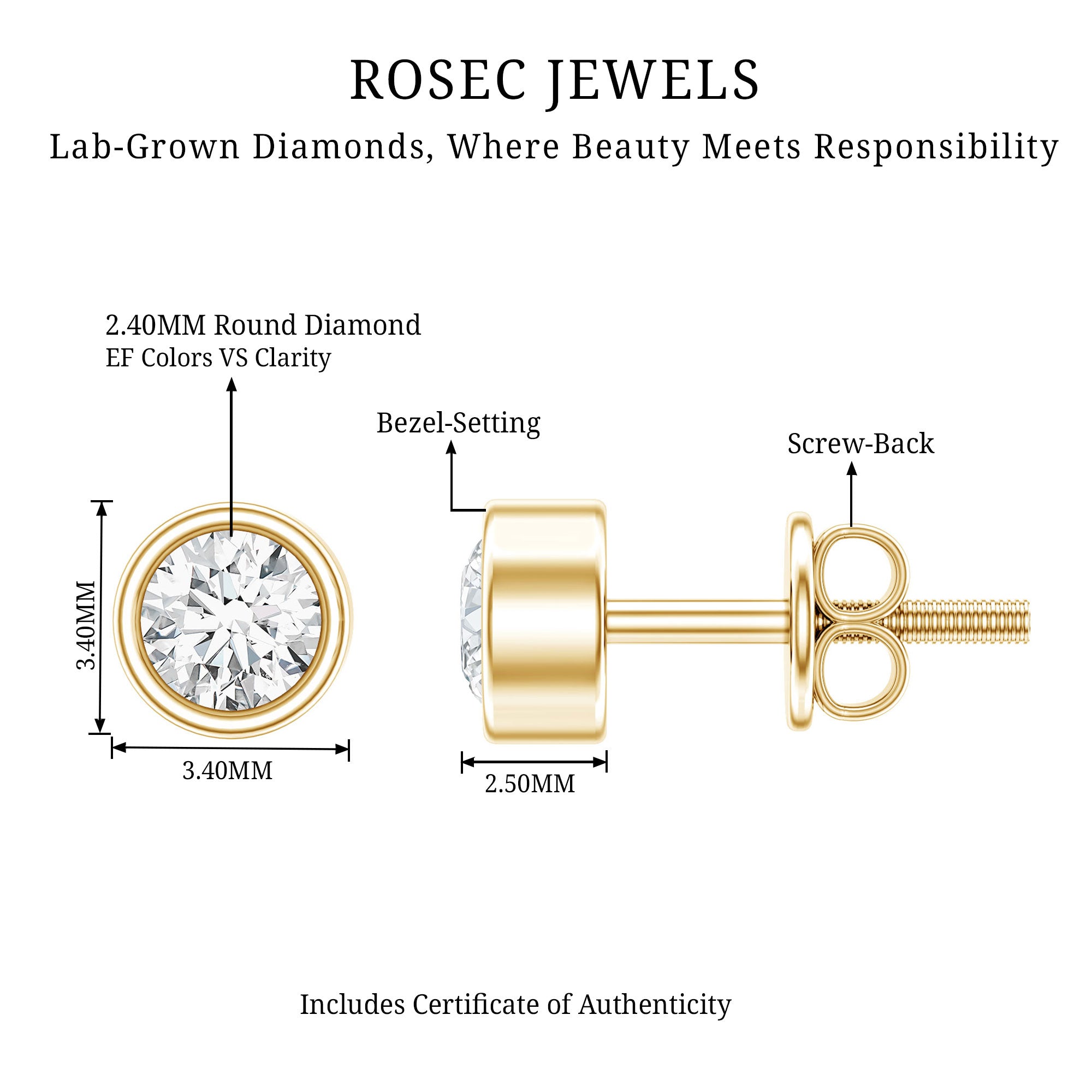 Minimalistic Bezel Set Diamond Stud Earrings Lab - ( EF-VS ) - Rosec Jewels
