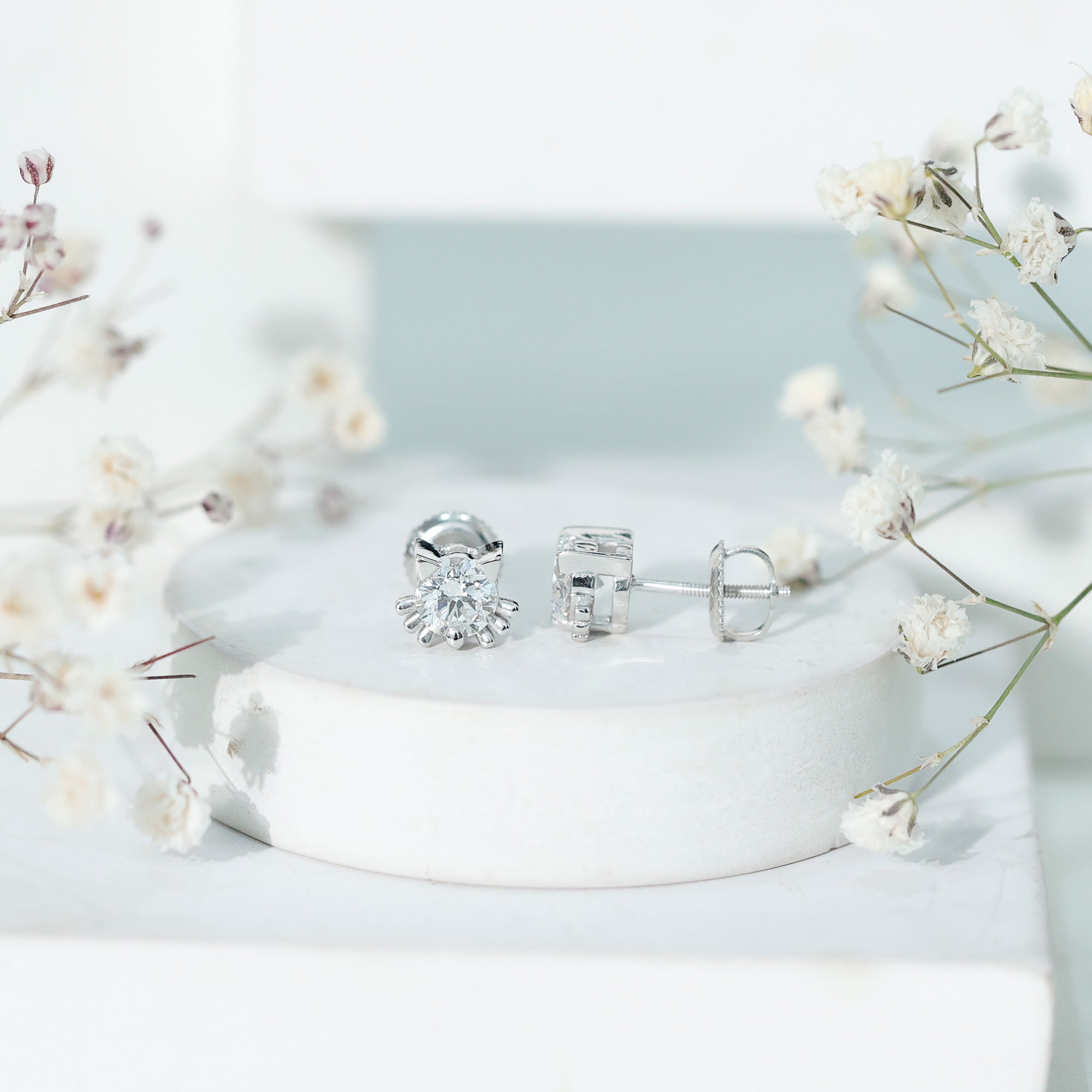 Cute Cat Stud Earrings with Lab Grown Diamond Lab - ( EF-VS ) - Rosec Jewels