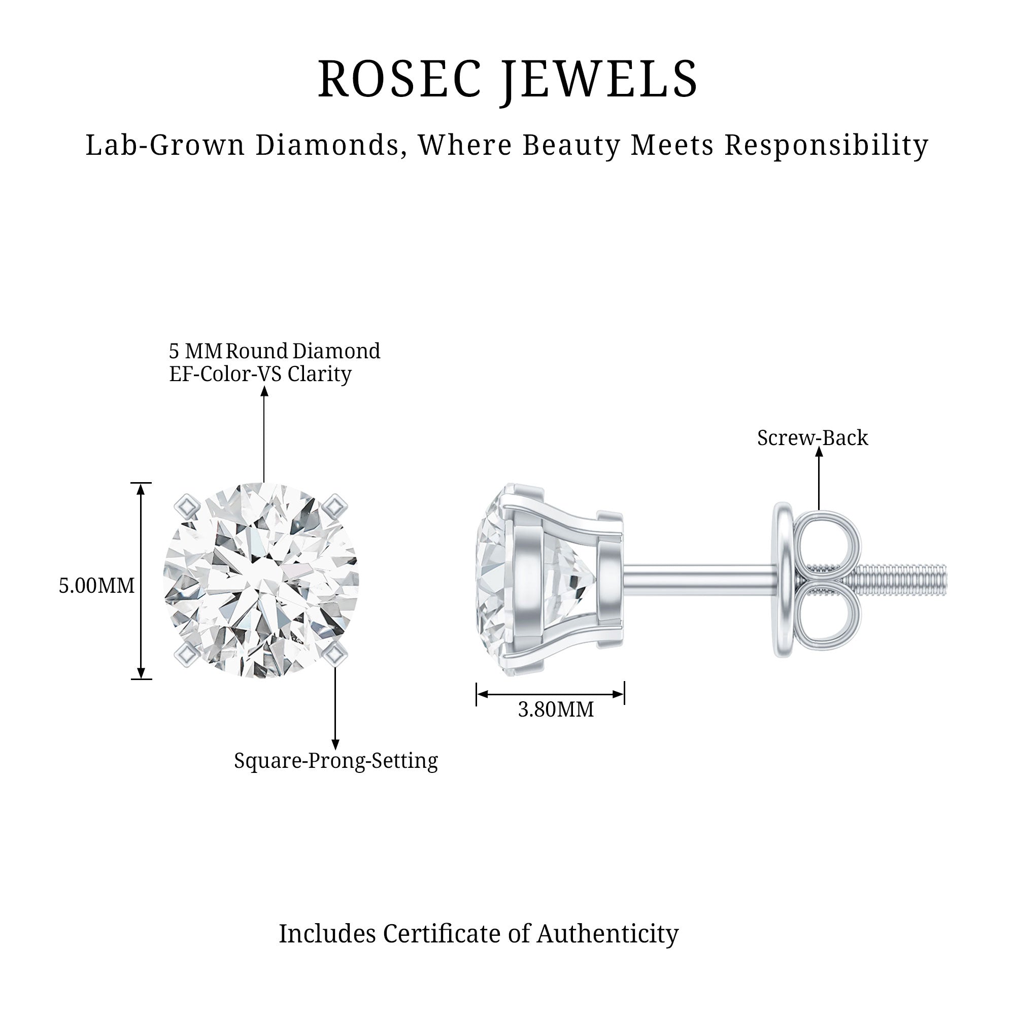 Brilliant Cut Lab Grown Diamond 1 Carat Stud Earrings Lab - ( EF-VS ) - Rosec Jewels