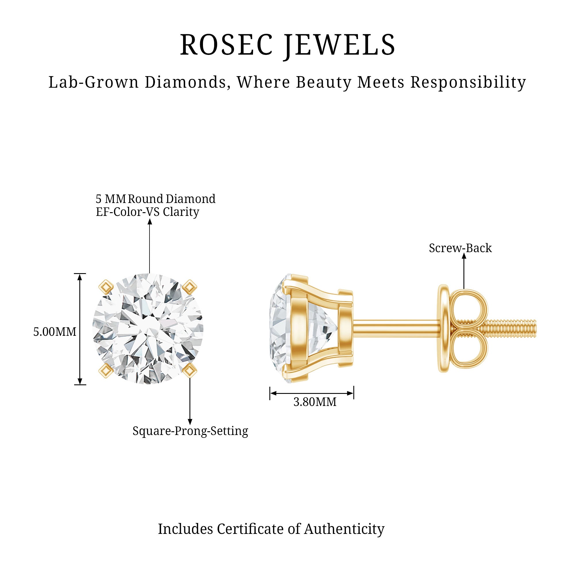 Brilliant Cut Lab Grown Diamond 1 Carat Stud Earrings Lab - ( EF-VS ) - Rosec Jewels