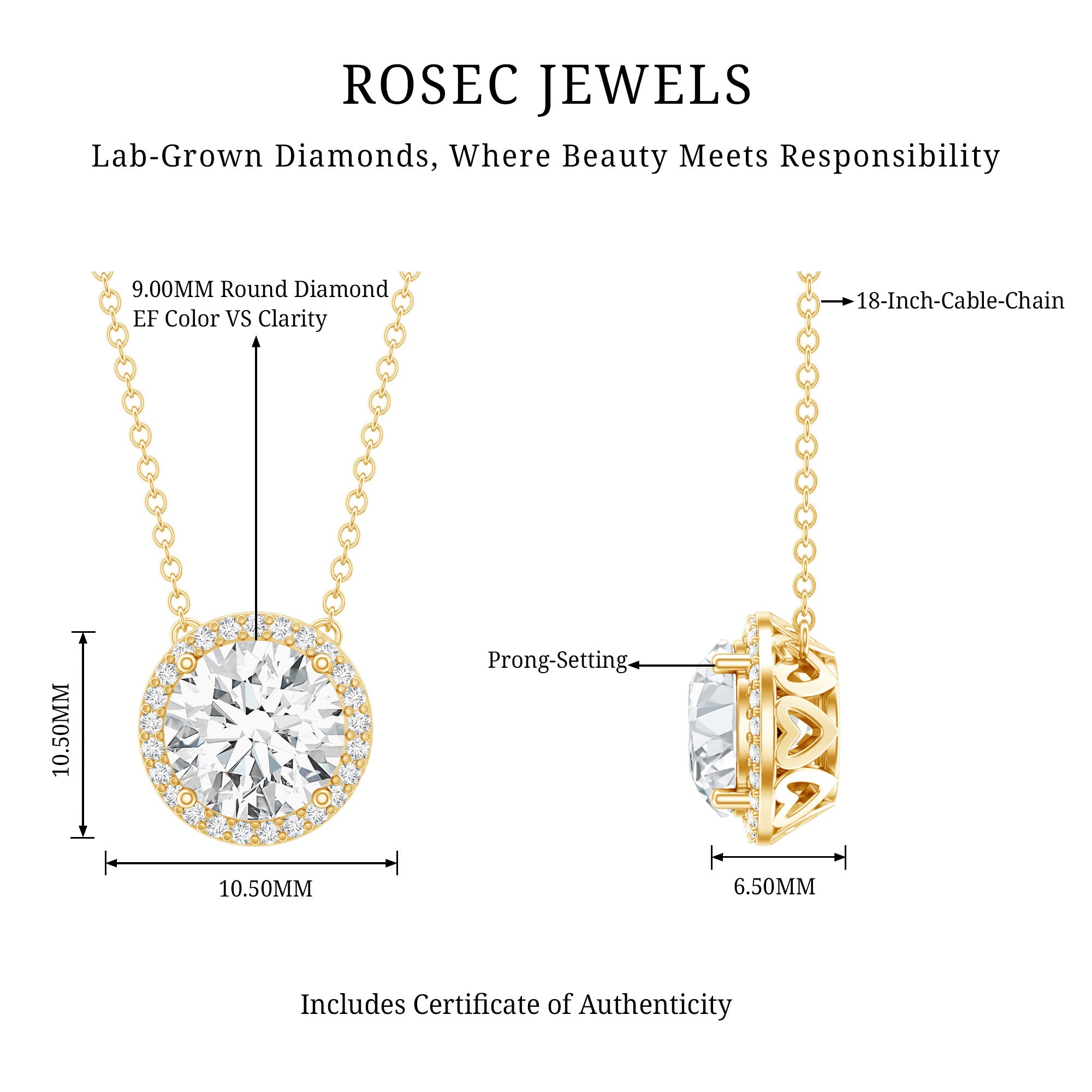 IGI Certified 3 Carat Lab Grown Diamond Necklace with Halo Lab - ( E-VS1 ) - Rosec Jewels
