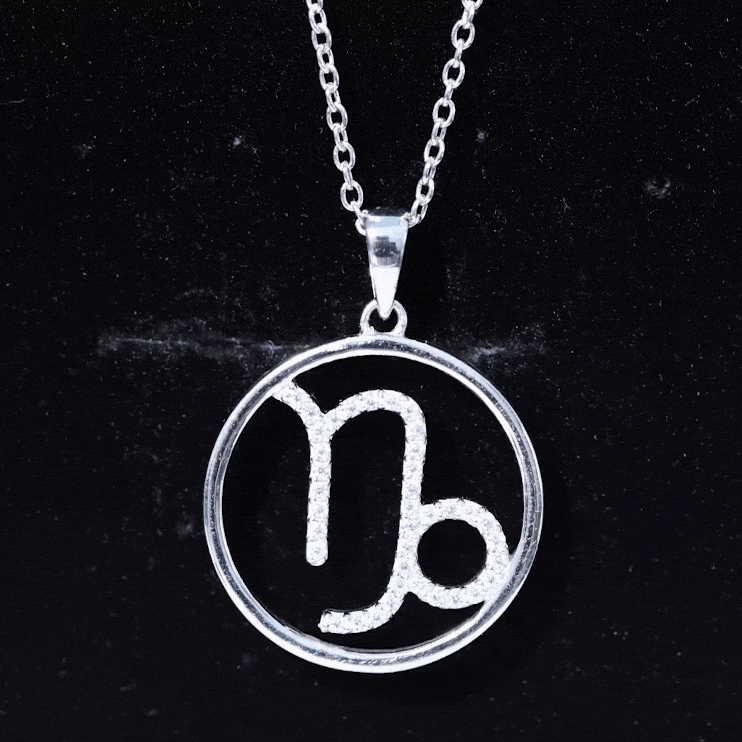 Certified Moissanite Capricorn Zodiac Necklace D-VS1 - Rosec Jewels