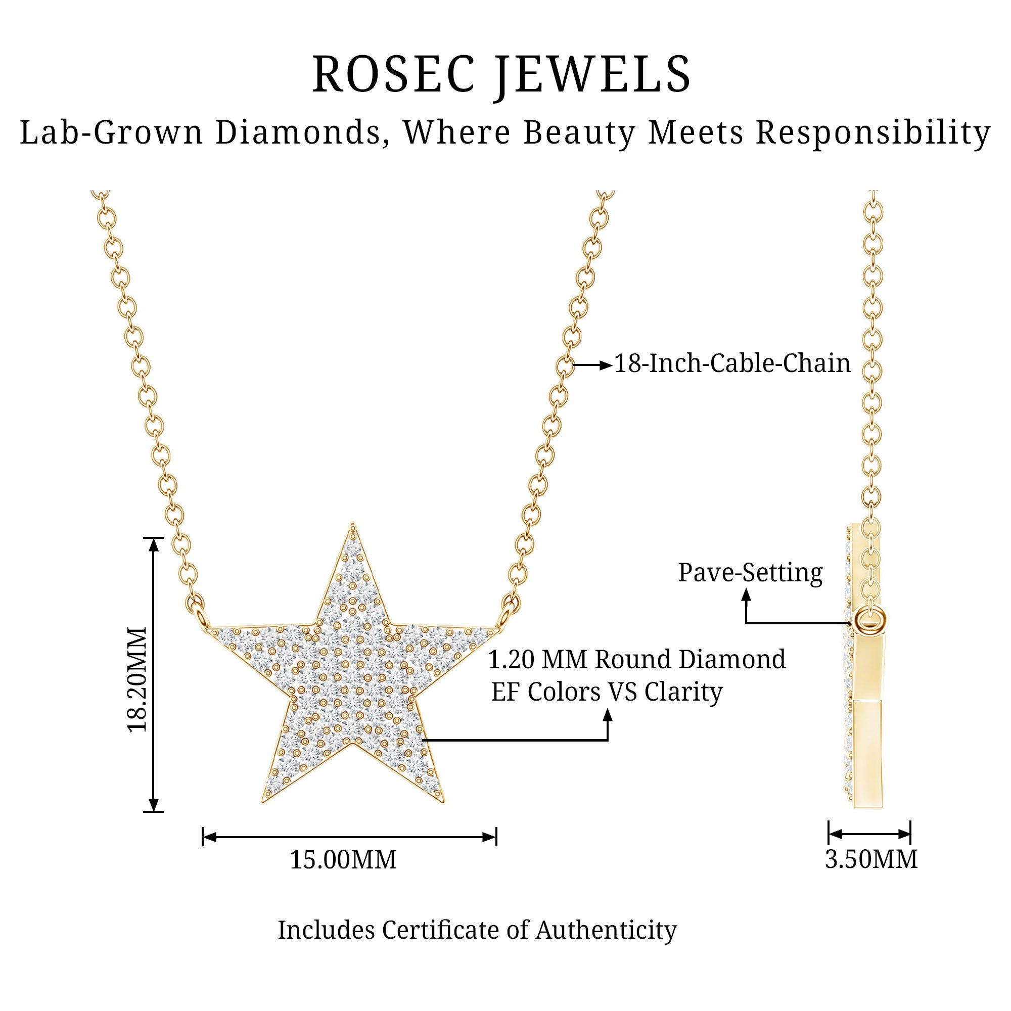 Diamond Star Pendant Necklace in Pave Setting Lab - ( EF-VS ) - Rosec Jewels