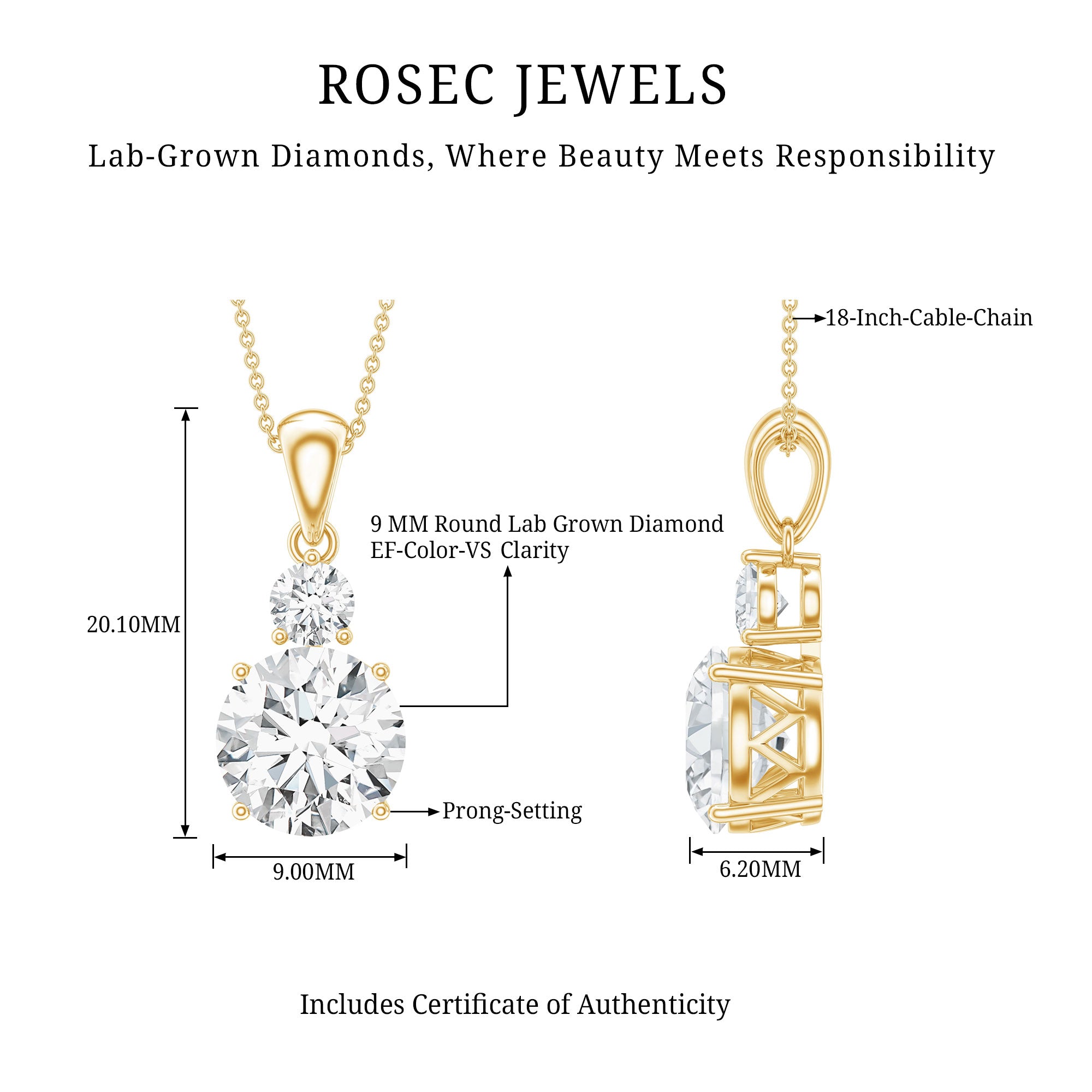 Brilliant Cut Moissanite Two Stone Necklace With Chain D-VS1 - Rosec Jewels