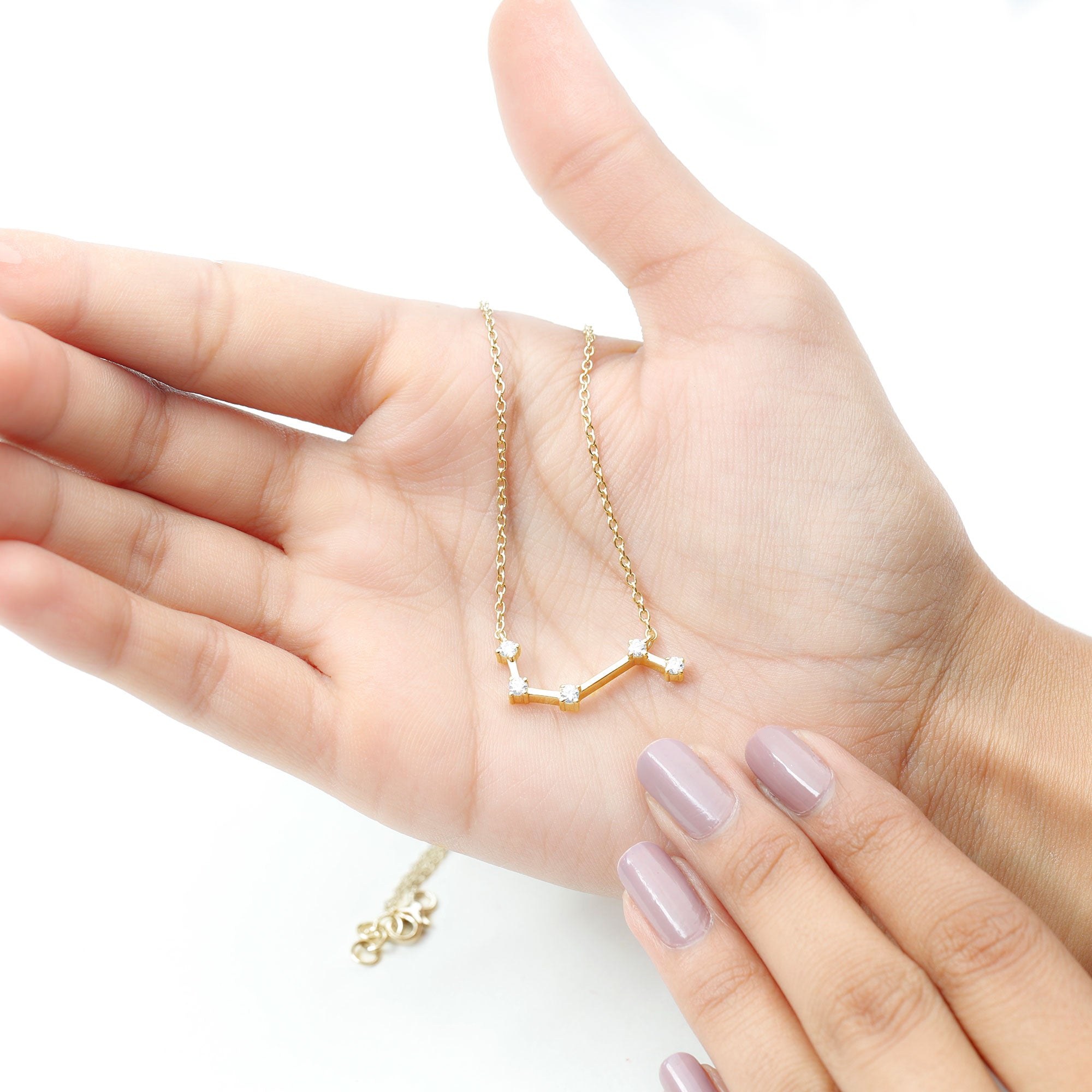 Moissanite Aries Constellation Necklace for Women D-VS1 - Rosec Jewels
