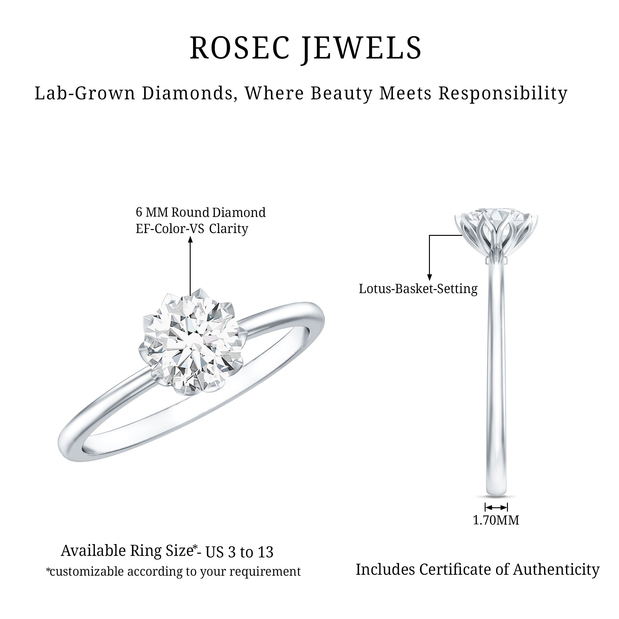 1 Carat Lab Diamond Engagement Ring with IGI Certificate Lab - ( E-VS1 ) - Rosec Jewels
