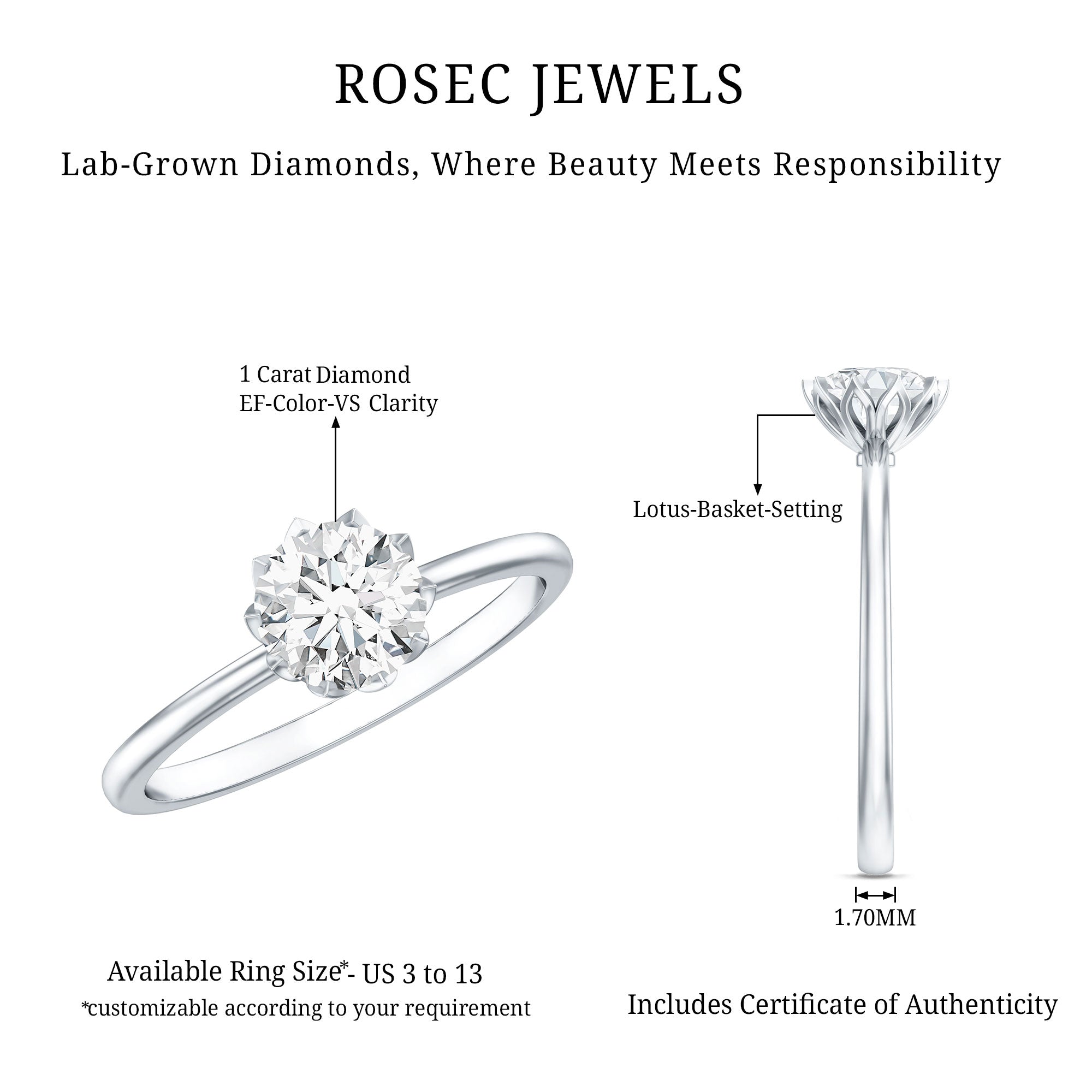 1 Carat Lab Diamond Engagement Ring with IGI Certificate Lab - ( E-VS1 ) - Rosec Jewels