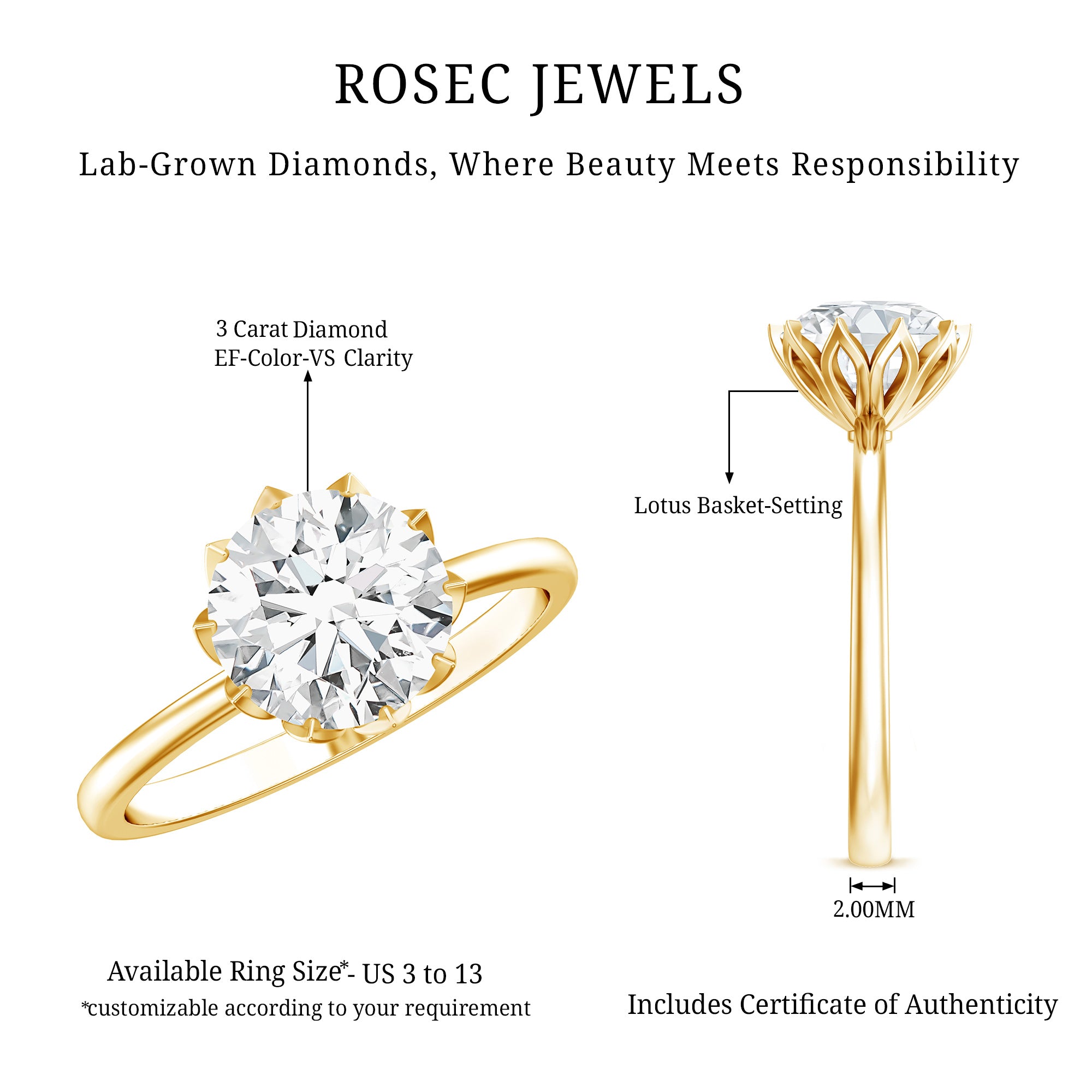 Lotus Basket Set Lab Grown Diamond 3 Carat Engagement Ring with IGI Certificate Lab - ( E-VS1 ) - Rosec Jewels