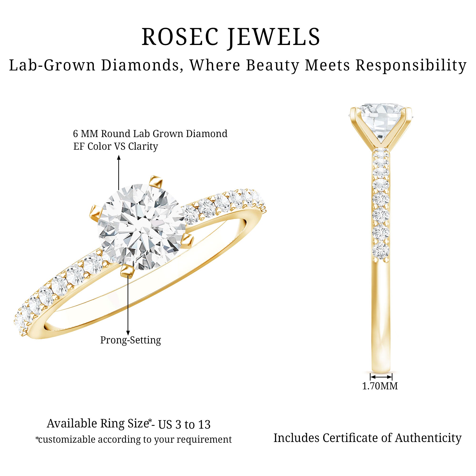 IGI Certified Lab Created Diamond 1 Carat Engagement Ring Lab - ( E-VS1 ) - Rosec Jewels