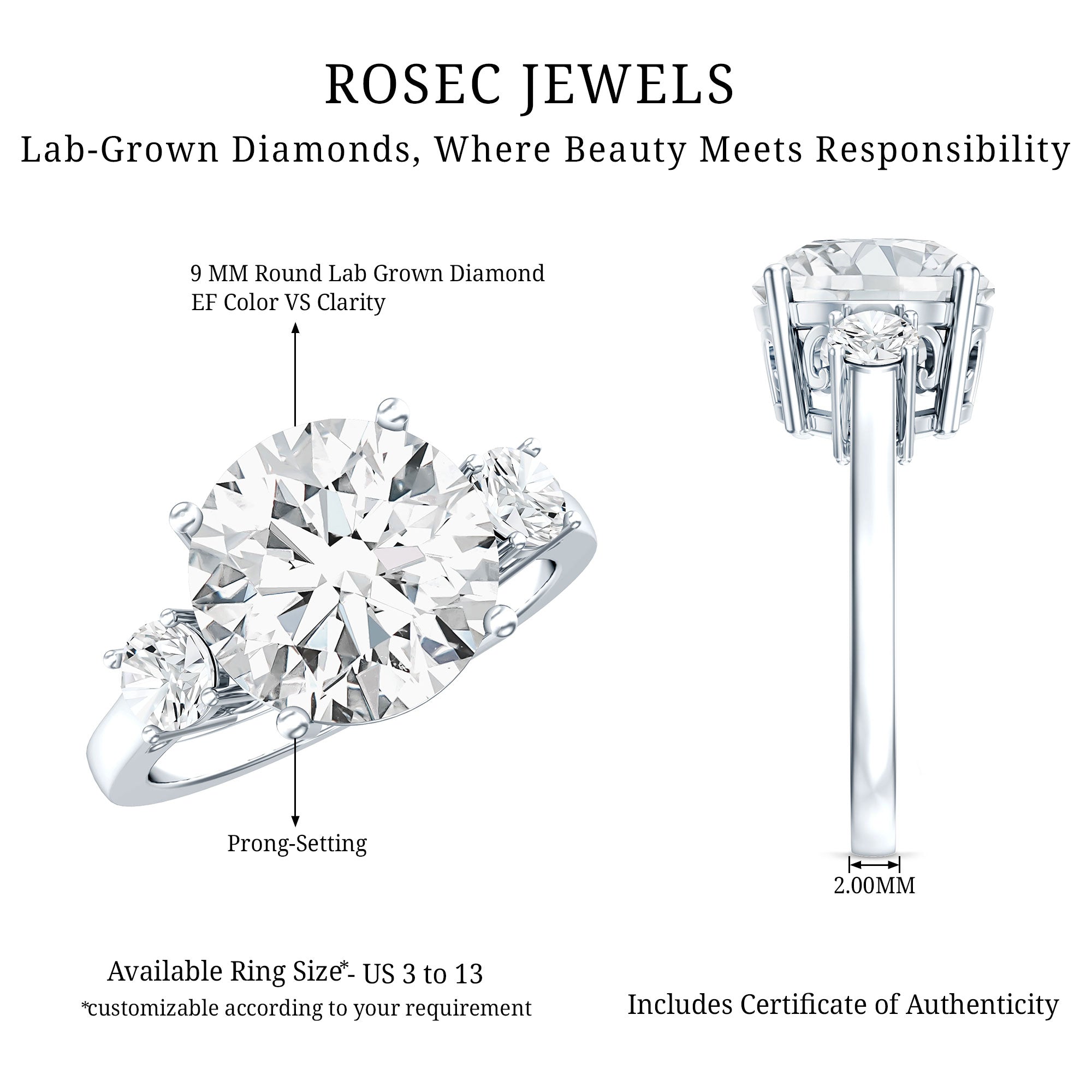 IGI Certified 3 CT Lab Grown Diamond Engagement Ring Lab - ( E-VS1 ) - Rosec Jewels