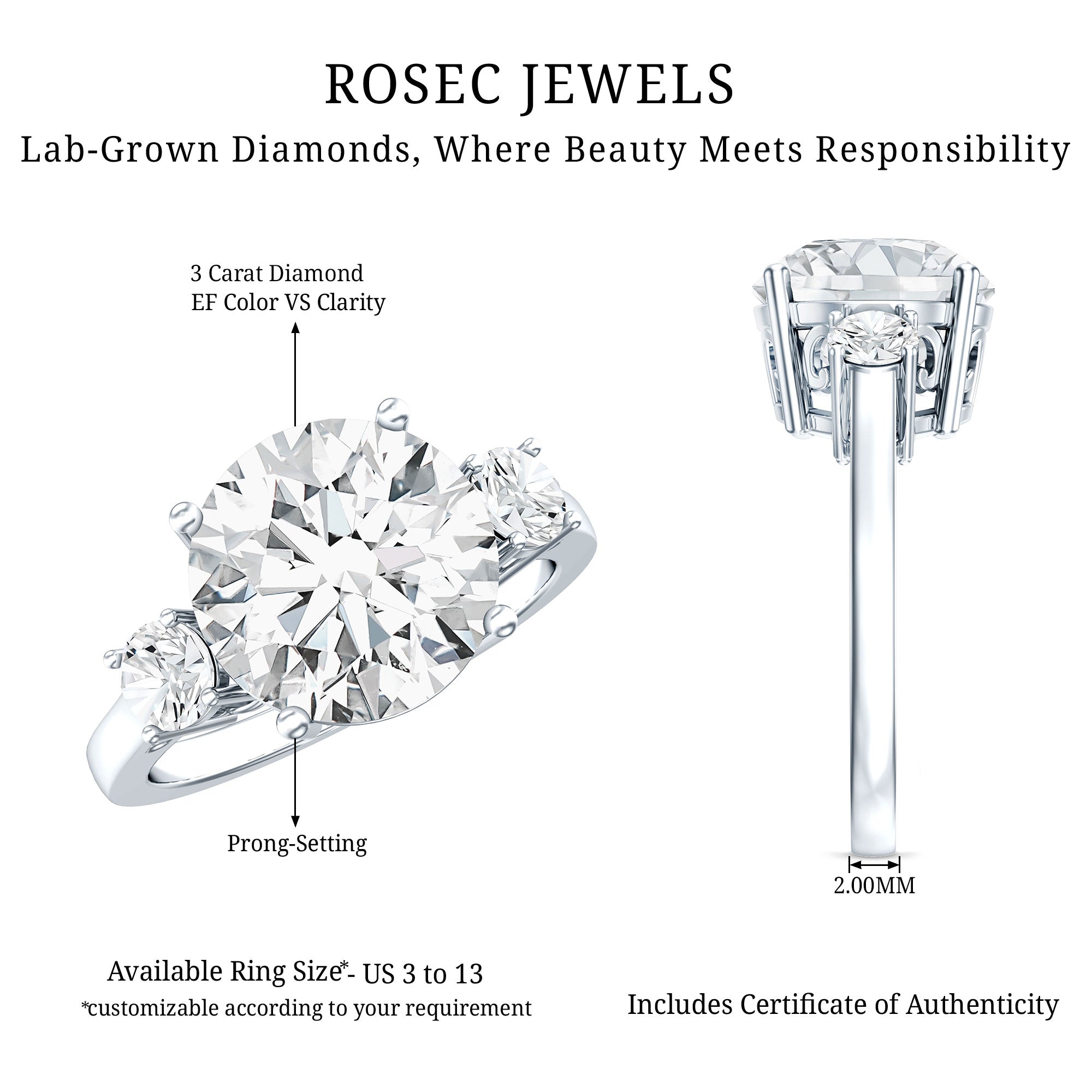 IGI Certified 3 CT Lab Grown Diamond Engagement Ring Lab - ( E-VS1 ) - Rosec Jewels