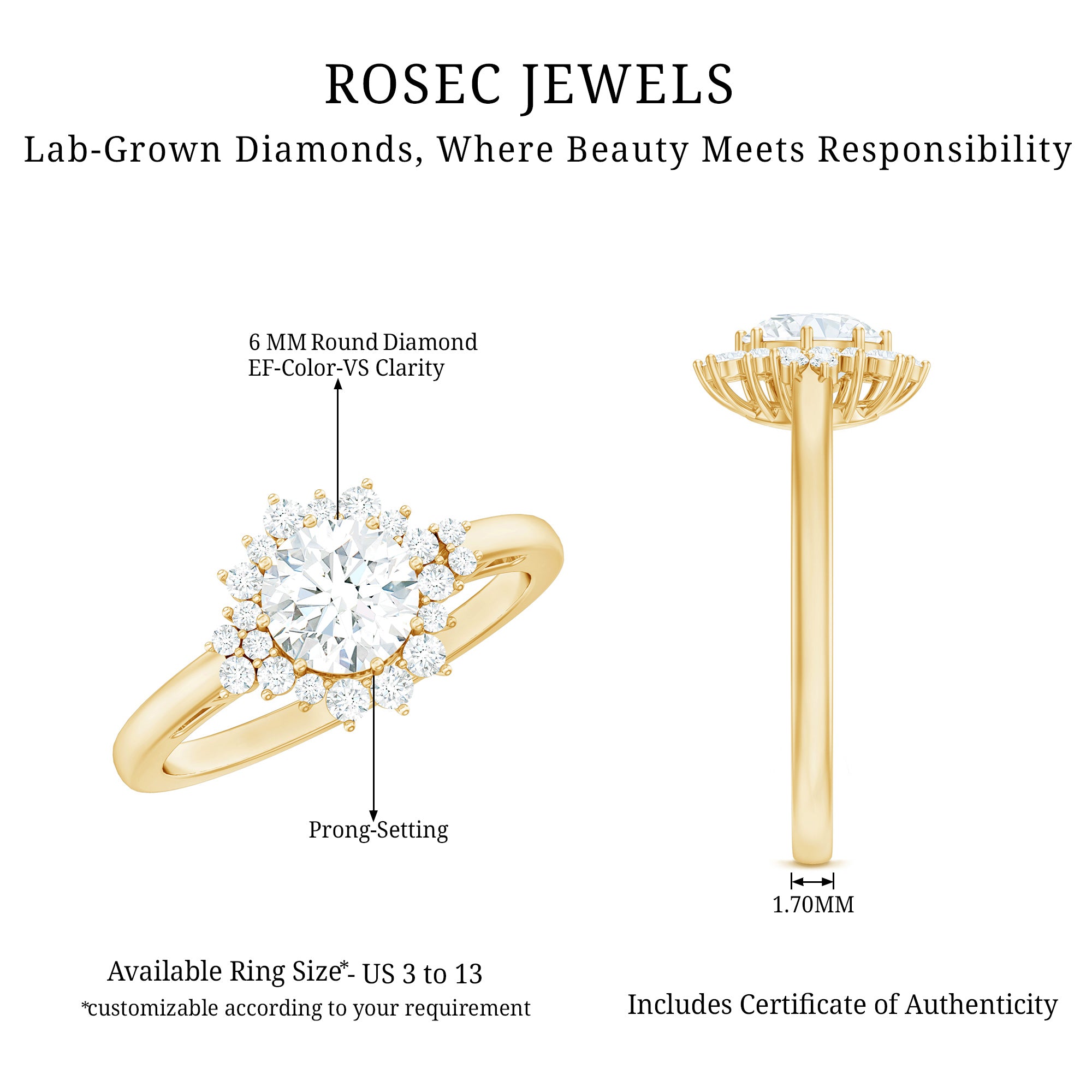 1 Carat IGI Certified Lab Grown Diamond Halo Engagement Ring Lab - ( E-VS1 ) - Rosec Jewels