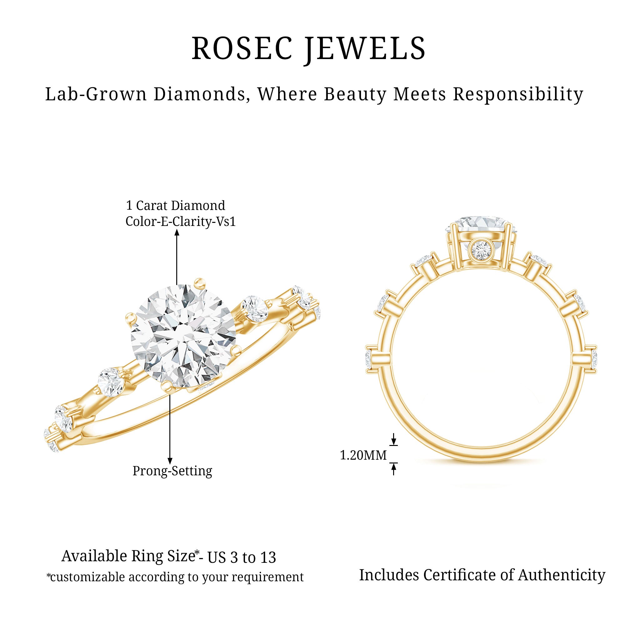 IGI Certified 1 Carat Lab Created Diamond Engagement Ring Lab - ( E-VS1 ) - Rosec Jewels