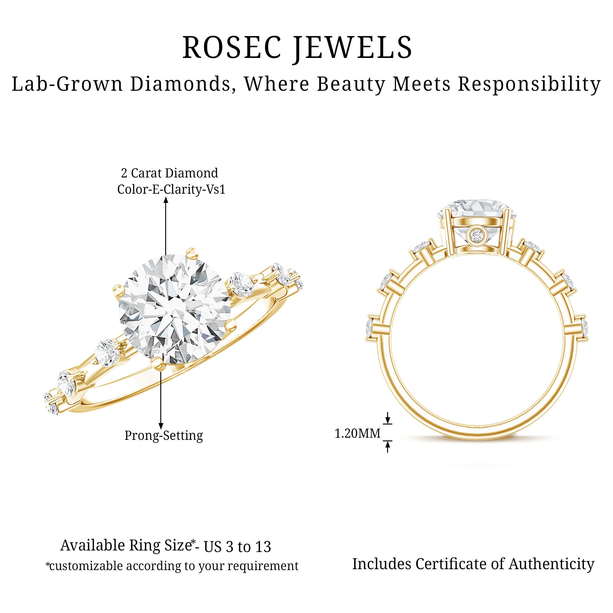 IGI Certified Lab Grown 2 CT Diamond Engagement Ring with Side Stone Lab - ( E-VS1 ) - Rosec Jewels