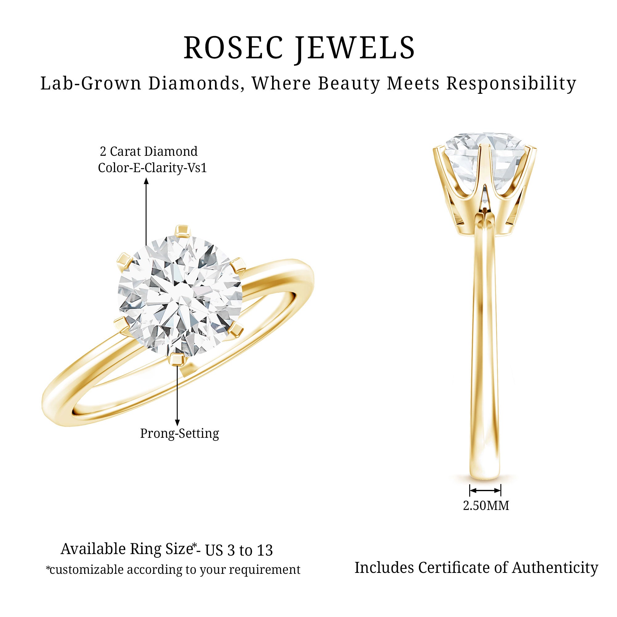 IGI Certified Lab Grown Diamond 2 CT Engagement Ring for Women Lab - ( E-VS1 ) - Rosec Jewels