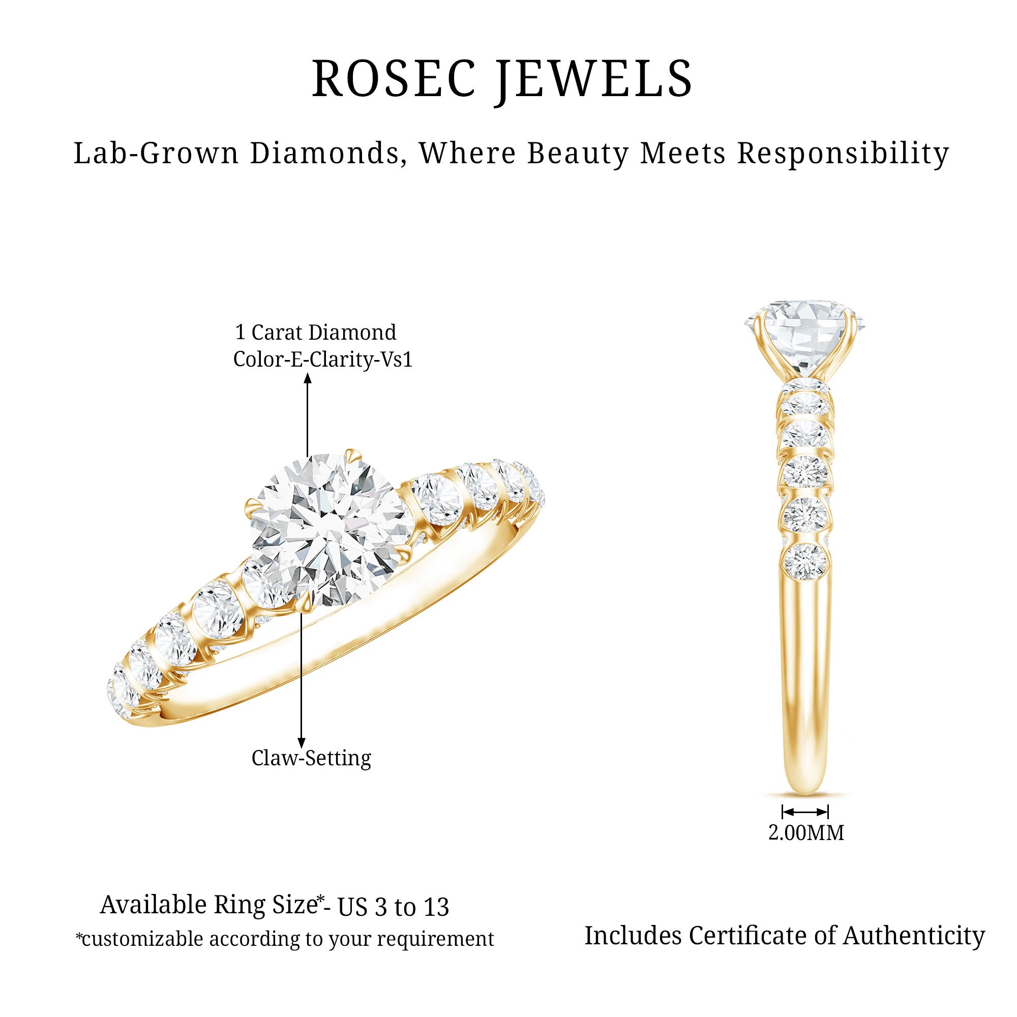 IGI Certified Round Lab Grown Diamond Side Stone Engagement Ring Lab - ( E-VS1 ) - Rosec Jewels