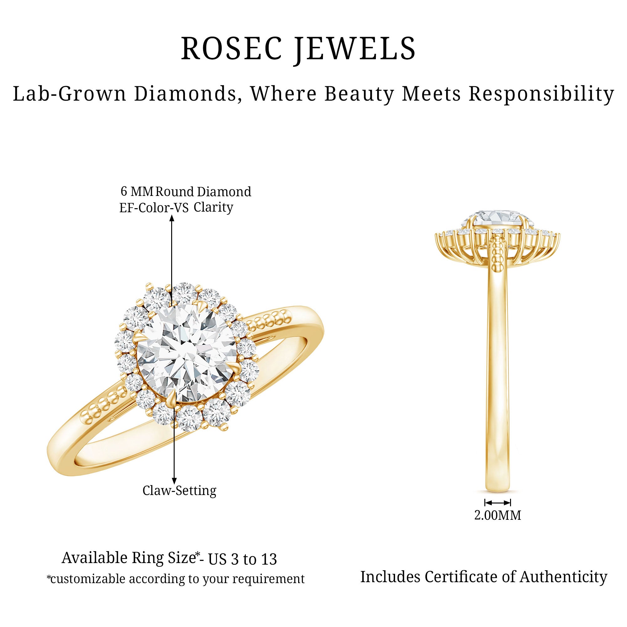 Classic Lab Grown Diamond Halo Engagement Ring Lab - ( EF-VS ) - Rosec Jewels