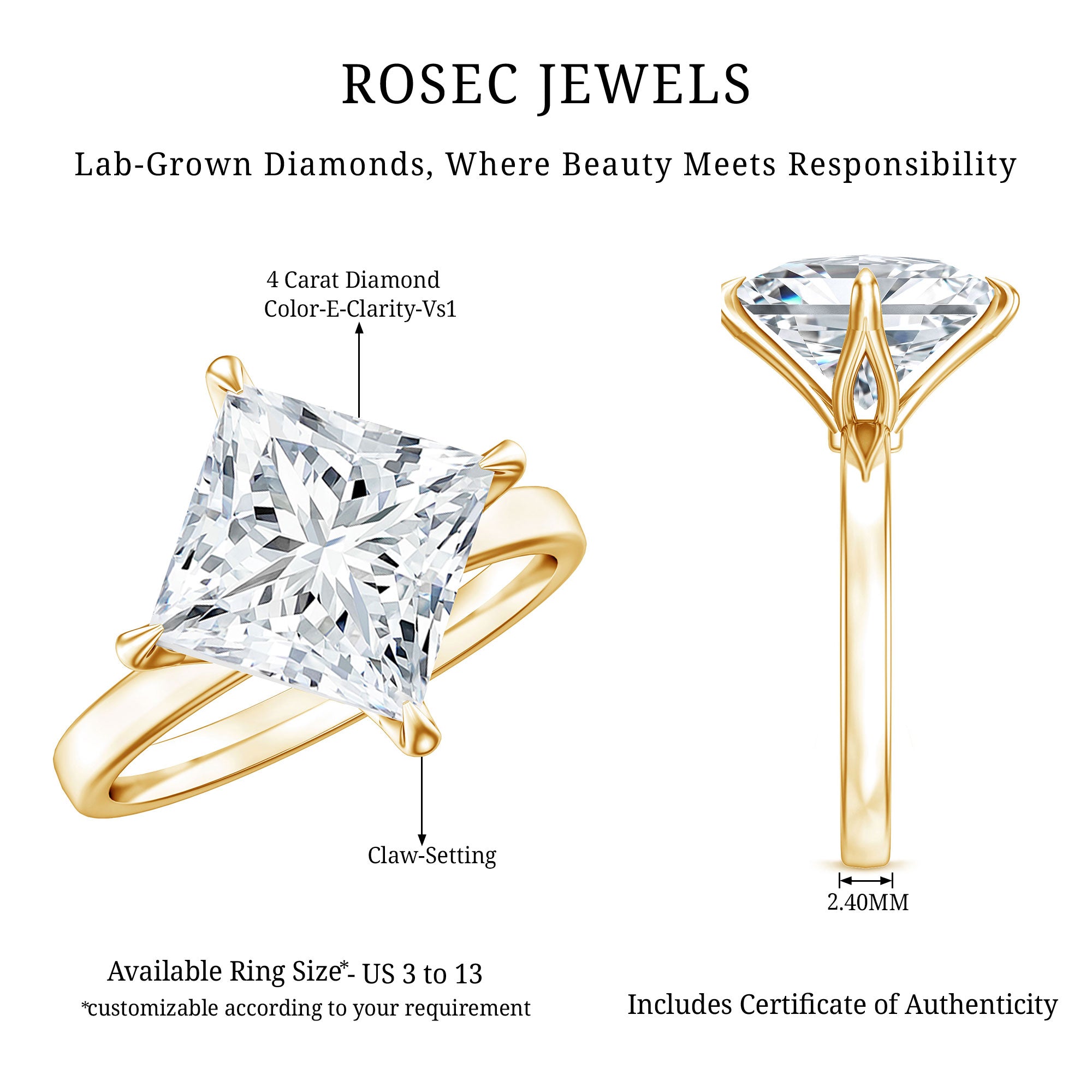 IGI Certified 4 Carat Princess Cut Lab Grown Diamond Engagement Ring Lab - ( E-VS1 ) - Rosec Jewels