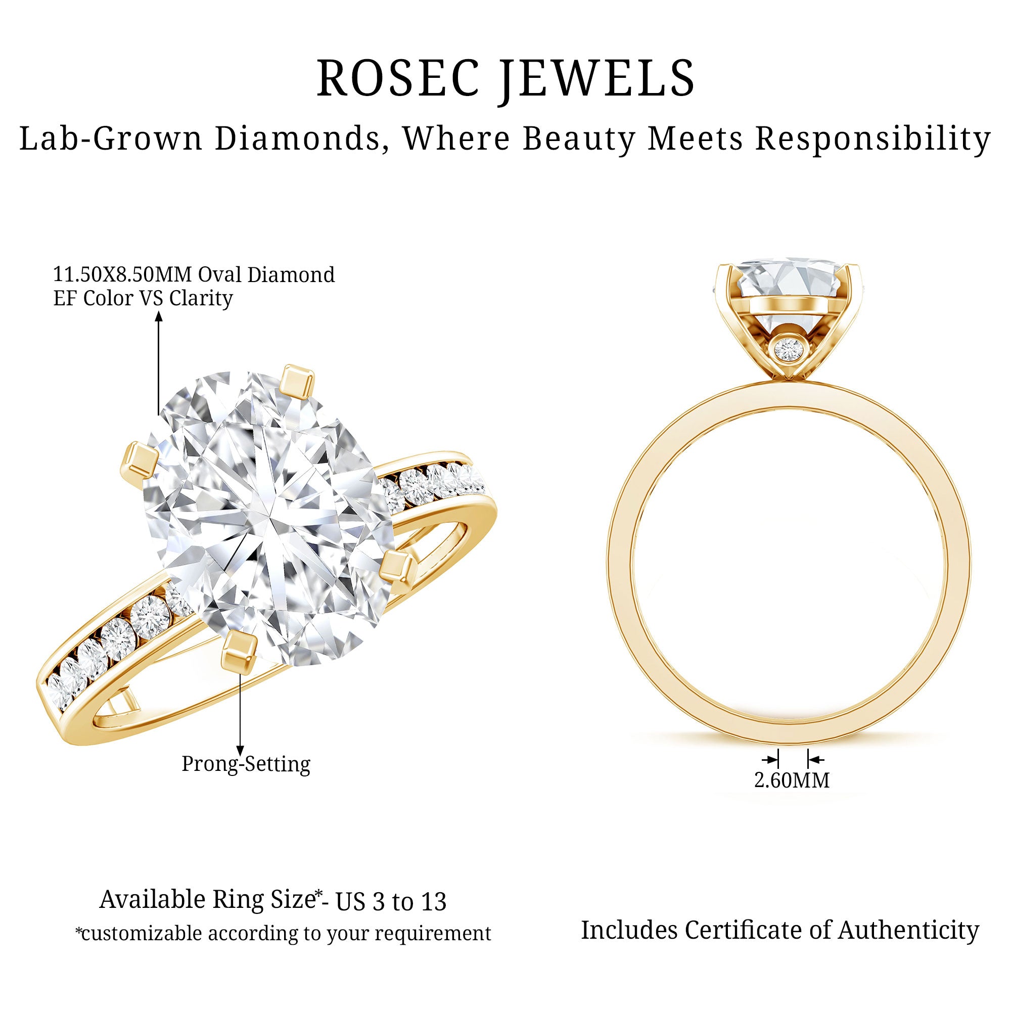 IGI Certified 3 Carat Lab Grown Diamond Oval Engagement Ring for Women Lab - ( E-VS1 ) - Rosec Jewels