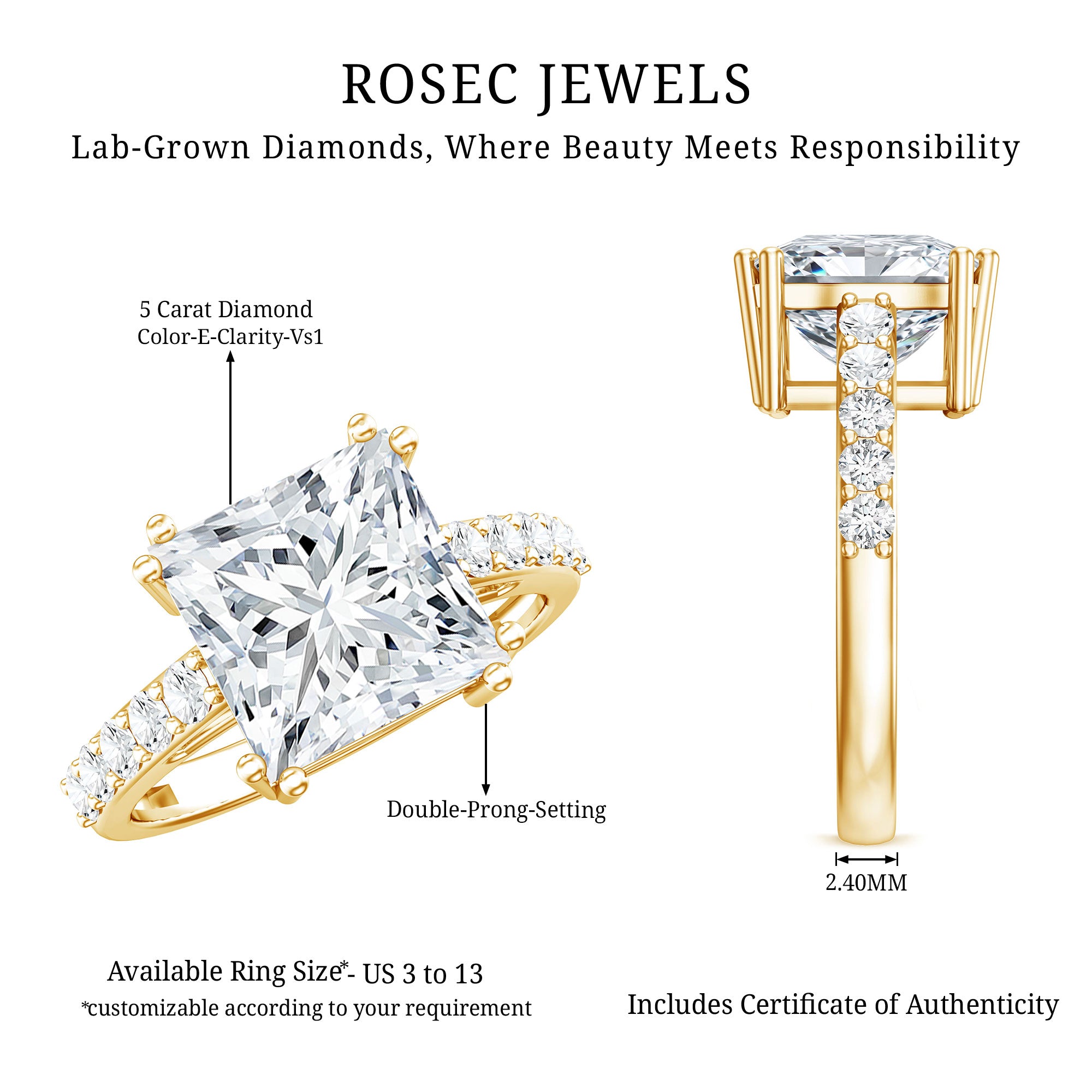 IGI Certified Princess Cut Lab Grown Diamond 5 Carat Engagement Ring with Side Stones Lab - ( E-VS1 ) - Rosec Jewels