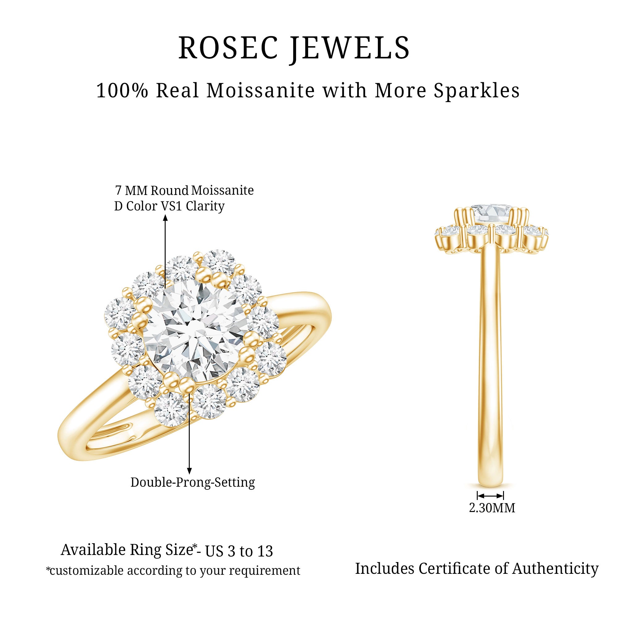 Classic Moissanite Halo Engagement Ring in Double Prong Setting D-VS1 - Rosec Jewels