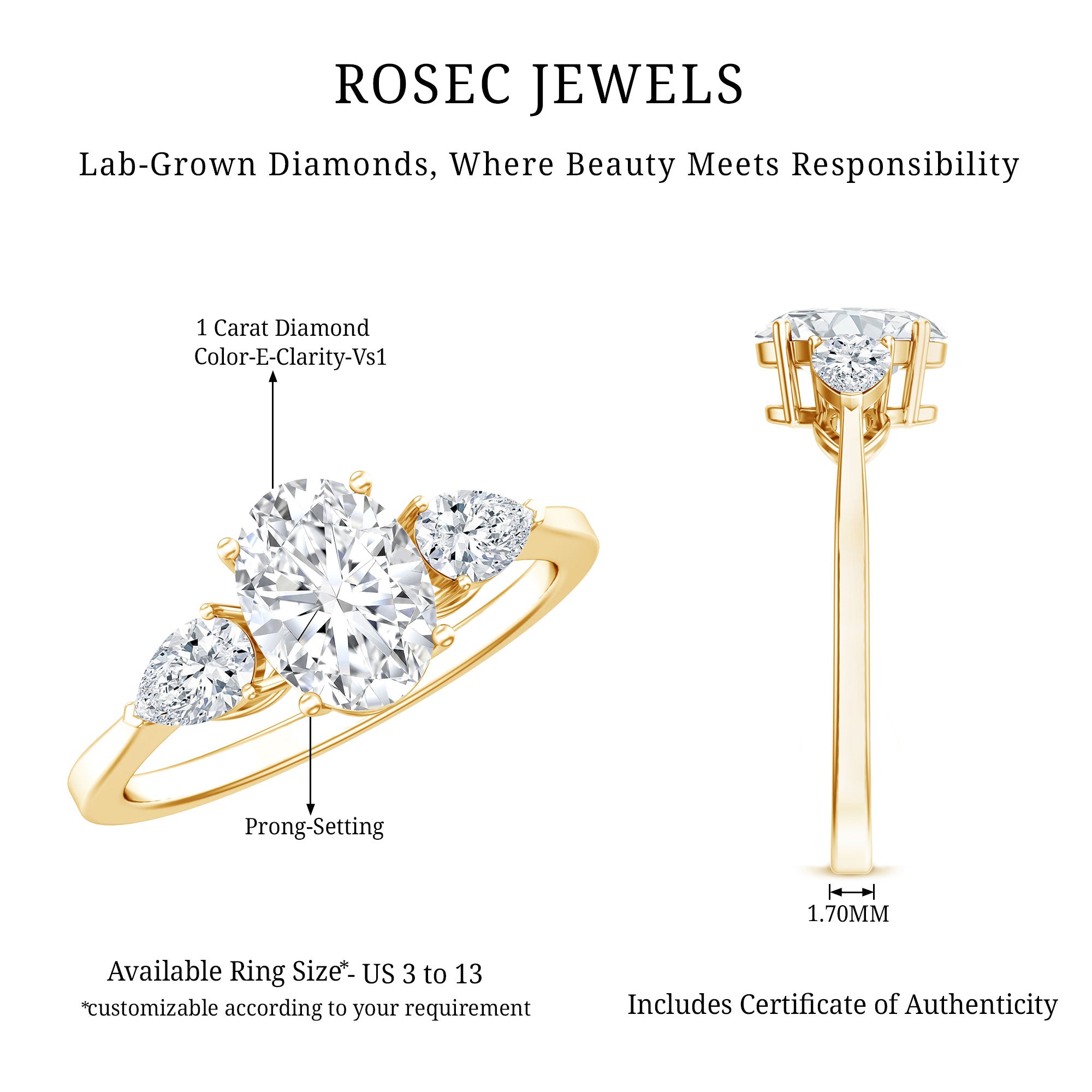 1 Carat Lab Grown Diamond Three Stone Engagement Ring with IGI Certificate Lab - ( E-VS1 ) - Rosec Jewels