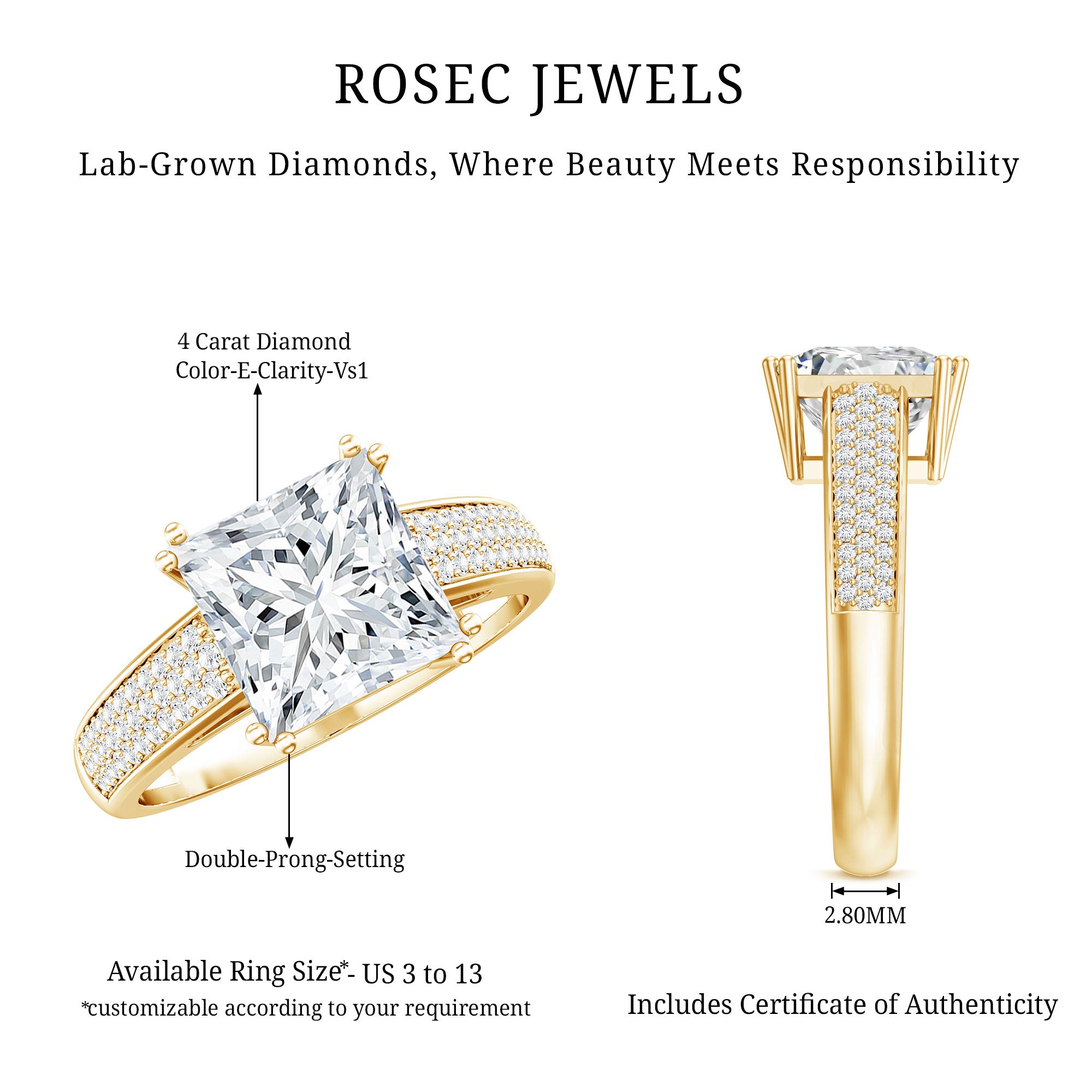 IGI Certified Princess Cut Lab Grown Diamond 4 Carat Engagement Ring with Side Stones Lab - ( E-VS1 ) - Rosec Jewels