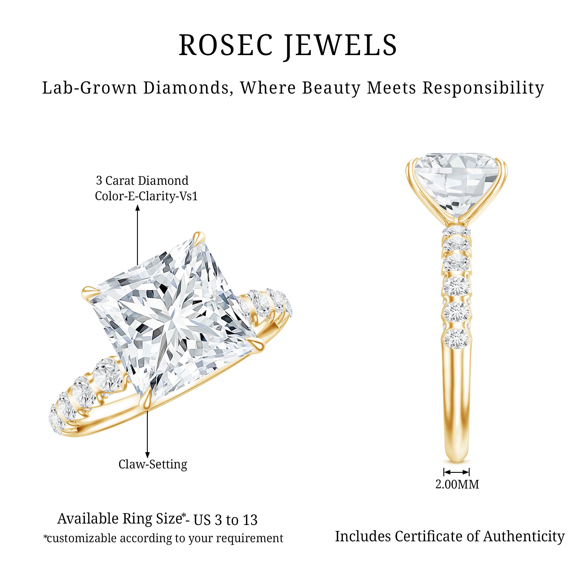 IGI Certified Lab Grown Diamond 3 Carat Square Cut Engagement Ring Lab - ( E-VS1 ) - Rosec Jewels