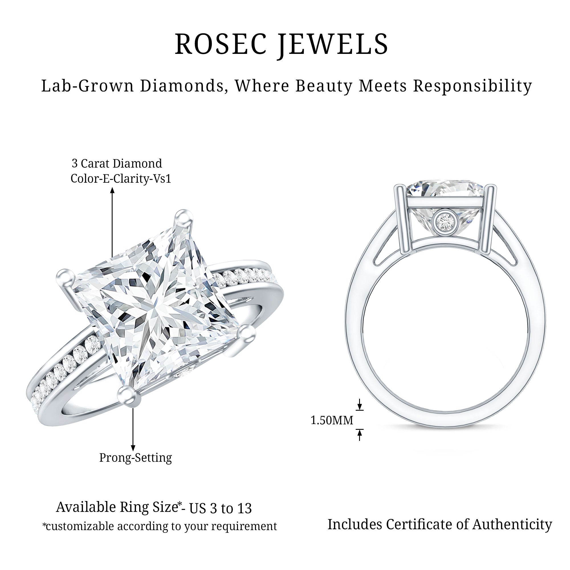 IGI Certified Lab Grown Diamond 3 Carat Engagement Ring with Side Stones Lab - ( E-VS1 ) - Rosec Jewels