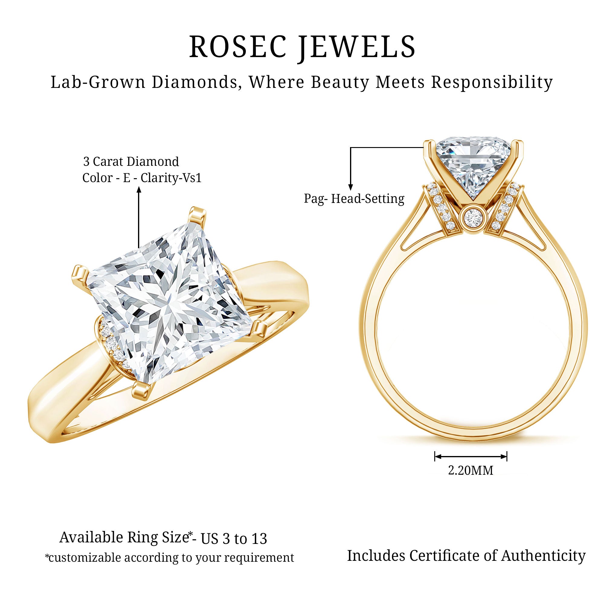 Solitaire 3 Carat Lab Grown Diamond Princess Cut Engagement Ring IGI Certified Lab - ( E-VS1 ) - Rosec Jewels