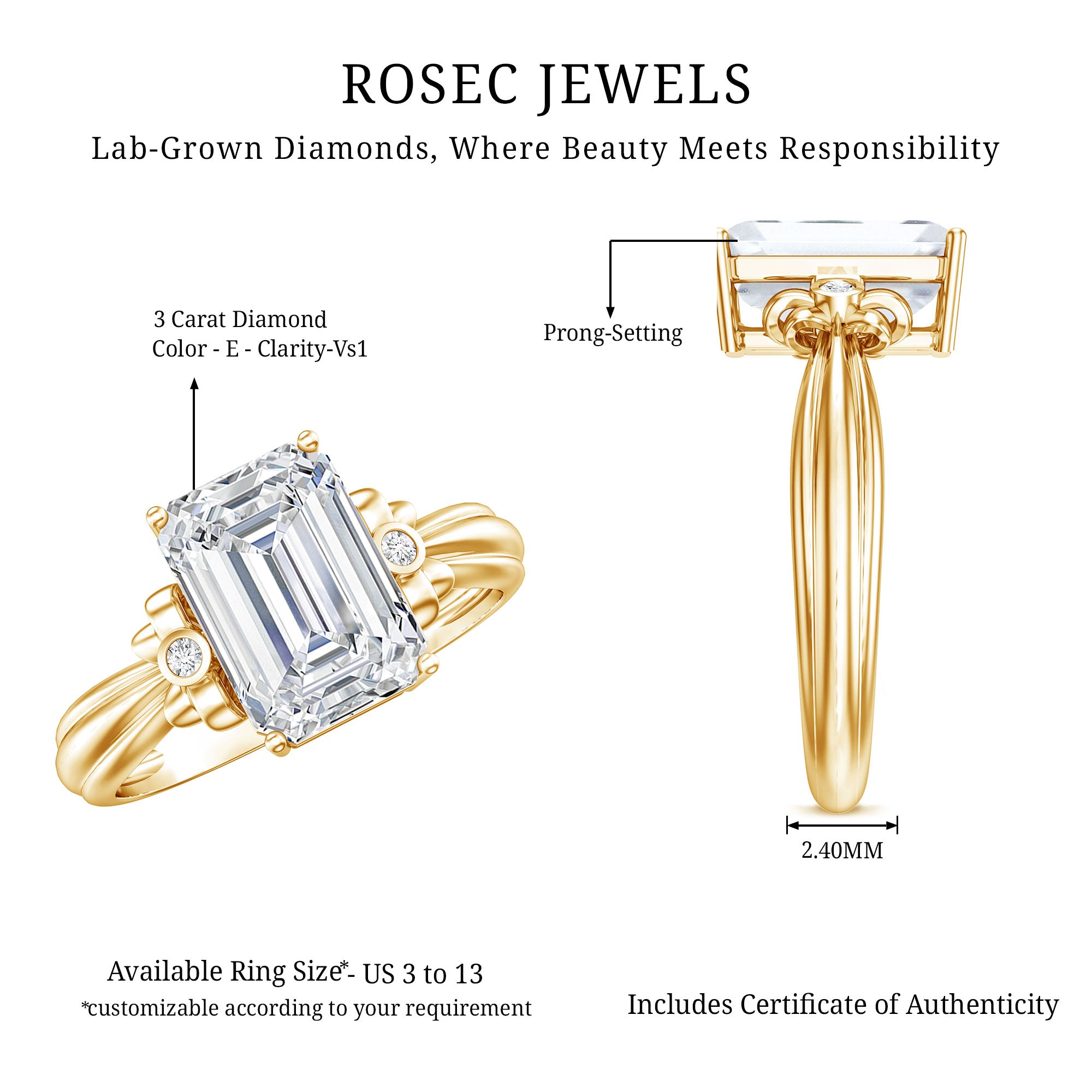 Emerald Cut Lab Grown Diamond 3 Carat Engagement Ring IGI Certified Lab - ( E-VS1 ) - Rosec Jewels